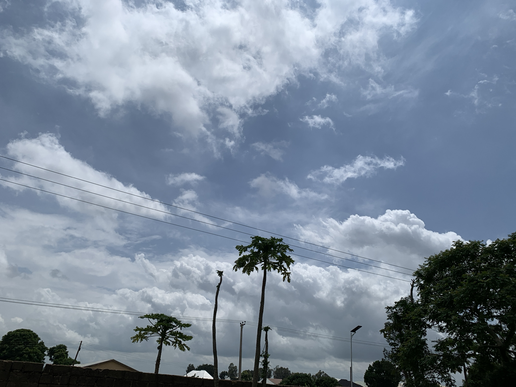 The media file depicts an outdoor scene under a partly cloudy sky. Several tall, slender trees, including what appears to be a papaya tree with a distinct crown of leaves, are silhouetted against the sky, along with some smaller trees. Power lines stretch horizontally across the frame, indicating an urban or semi-urban setting. In the foreground, a low wall or fence made of rough-hewn bricks is visible. The background reveals glimpses of rooftops and more distant trees. The lighting suggests it is daytime, and the presence of large, fluffy clouds indicates a possibly humid or transitional weather condition. The overall mood is natural and perhaps slightly overcast. There is no visible text in the image. The location context provided is Kuru Karama, Nigeria.
