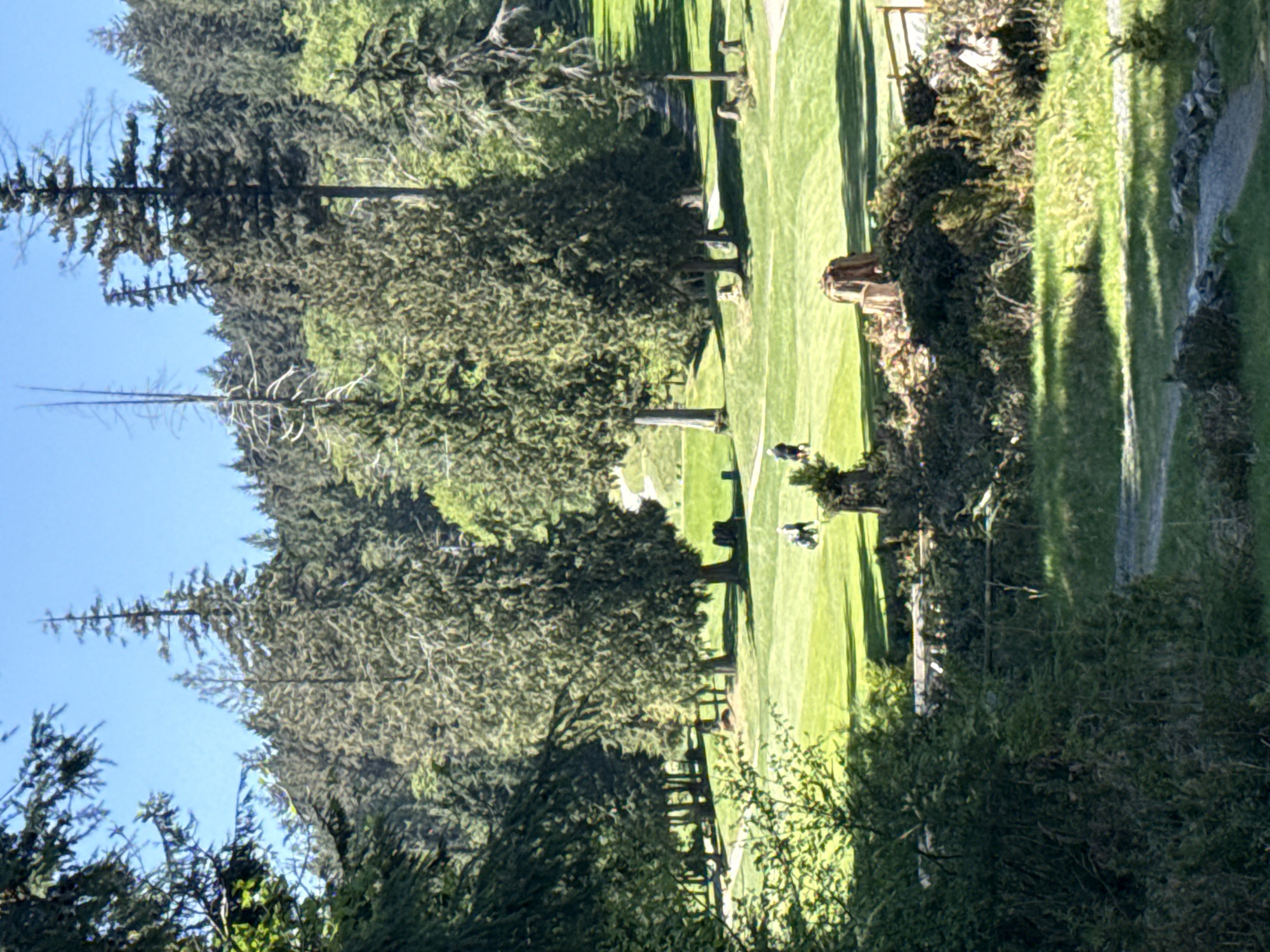 The image depicts a golf course located in Bowen Island Municipality, Canada. The scene is dominated by a vibrant green lawn, divided into lanes by rows of trees. Two people are visible on the lawn. The foreground and background are filled with dense trees, creating a lush, natural environment around the golf course. A small wooden fence runs along one side of the golf course. The sky is clear and blue.