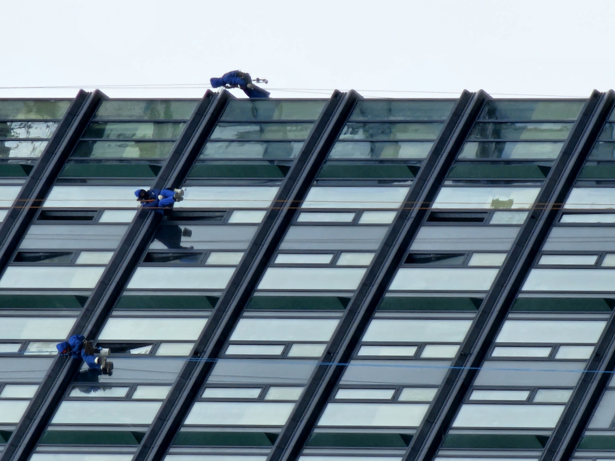 The image shows a modern, multi-story building with a facade of glass windows and dark frames. Four individuals, dressed in blue protective suits and helmets, are suspended from ropes on the side of the building. Two individuals are positioned closer to the left side of the frame, one slightly above the other, both appearing to be in the process of cleaning or maintaining the exterior. Further to the right, another individual is suspended lower down, also in blue attire. A fourth individual, also in a blue suit, is positioned on the far right of the frame, closer to the top of the building, and appears to be descending. The sky is overcast and light gray. The scene is likely taking place in an urban environment, with the architecture suggesting a contemporary city. No specific landmarks identifiable as being in Moscow, Russia are present in the image.