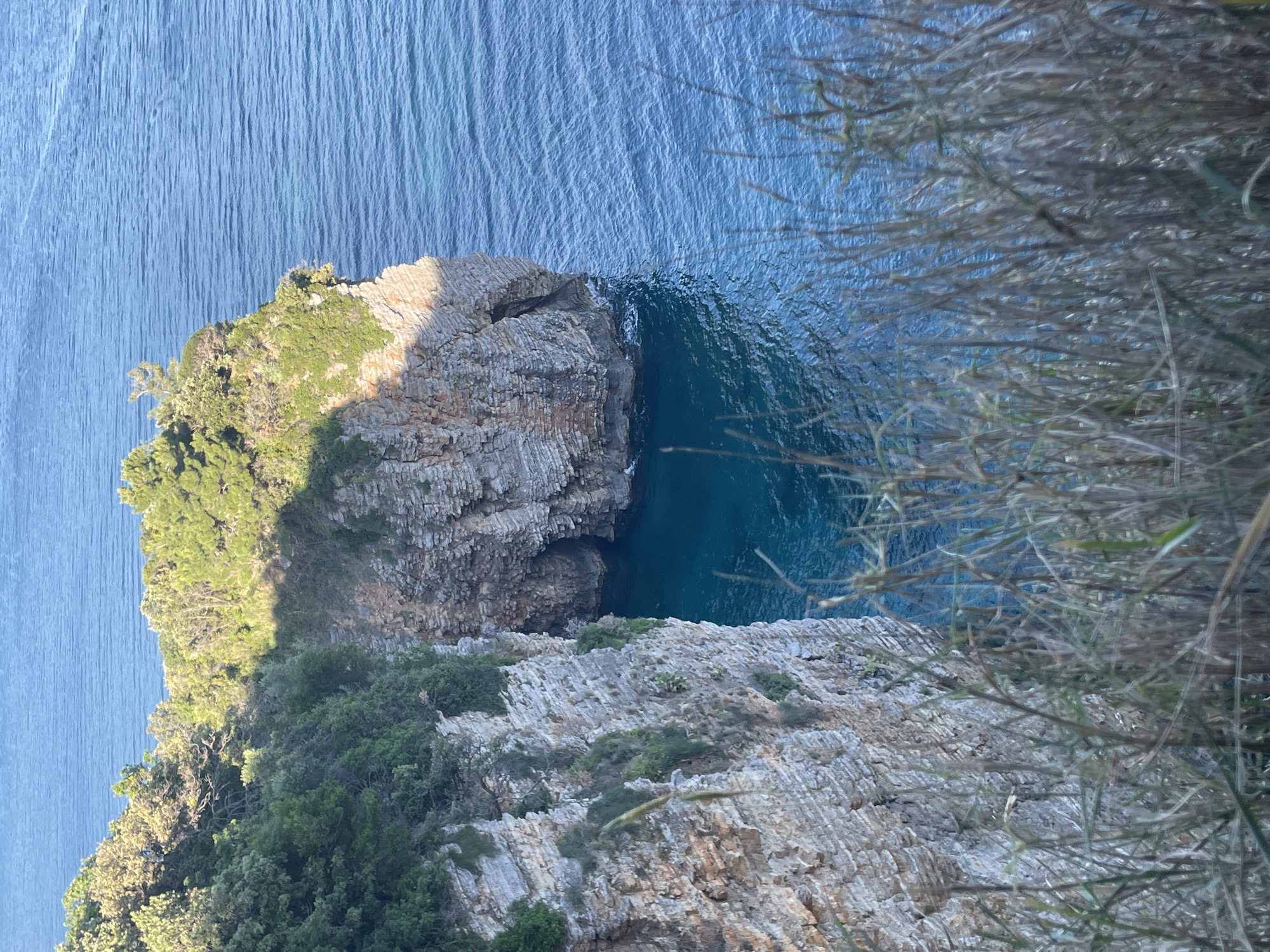 The image presents a high-angle view of a rocky promontory along the coastline, likely near Budva, Montenegro. The composition is divided between land and sea. A land formation, composed of layered grey and tan rock, vegetated with green trees and shrubs, extends towards the blue water of the sea. The water is relatively calm. The edges of the promontory consist of steep cliffs that plunge into the water. Vegetation obscures some of the foreground.