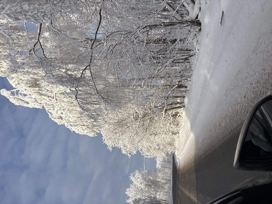 A winter scene is depicted along a road in the city of Chaika, Russia, under clear blue skies with scattered high clouds. The image is captured from inside a vehicle, with the upper portion of a dark-colored side mirror visible in the lower right quadrant, reflecting a snowy ground. An asphalt road, partially cleared of snow, occupies the lower left and central-left, exhibiting dark tire tracks and some patches of snow/ice. The road curves gently to the left and recedes into the distance. Both sides of the road are bordered by dense lines of deciduous trees, heavily encrusted with thick white snow and hoarfrost. A prominent, large tree with long, drooping, snow-laden branches stands in the mid-ground on the right, bathed in bright sunlight that creates strong highlights on the snow. The ground alongside the road is covered in undisturbed white snow. No people or animals are visible, and no explicit actions or interactions are depicted beyond the implied movement of the vehicle from which the photograph was taken.
