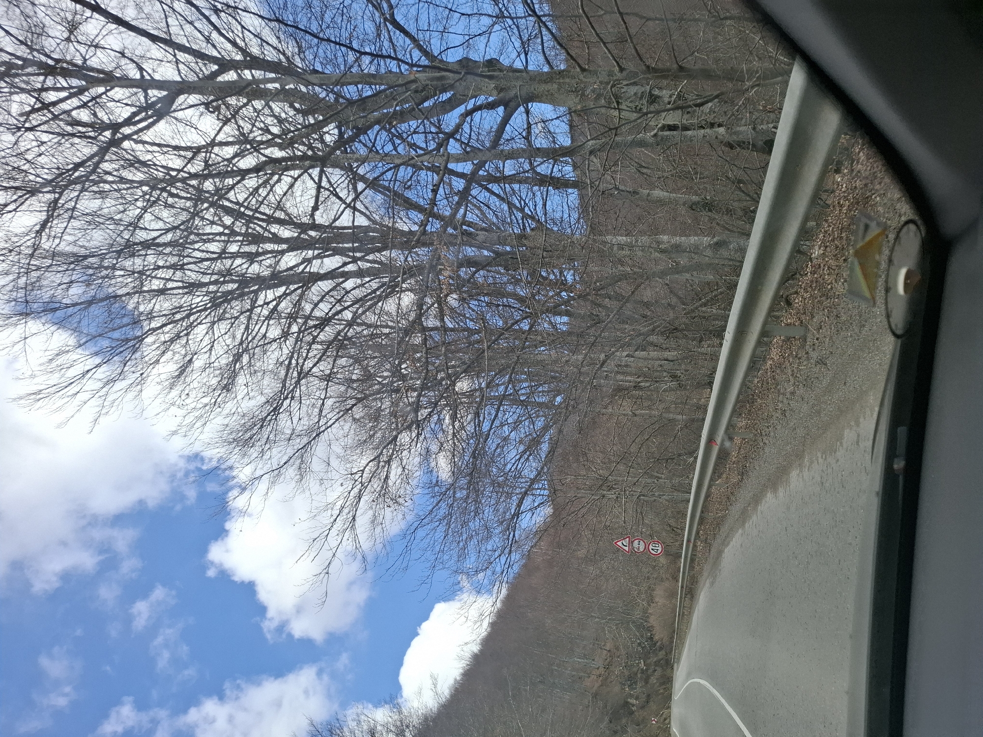The image shows a road scene in Gintsi, Bulgaria, taken from inside a vehicle. The road curves to the right, guarded by a metal barrier. Road signs indicating a curve and a speed limit of 40 km/h are visible. A hillside covered in leafless trees rises alongside the road. Bare tree branches fill the upper portion of the frame, contrasting with a blue sky and white clouds. A portion of the car's interior, including the doorframe and a safety reflector, is visible in the foreground.