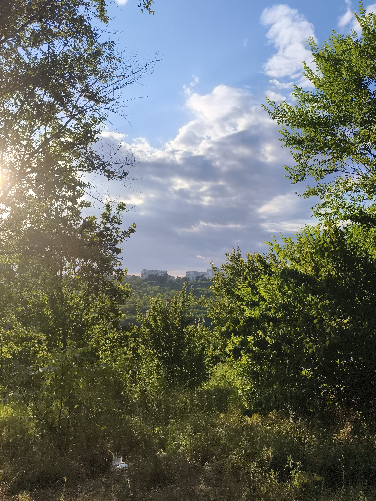 The image depicts a natural landscape with a city skyline visible in the distance. The foreground is dominated by lush green foliage and trees, with sunlight filtering through the leaves on the left side, creating a lens flare. The middle ground shows a rolling, tree-covered hillside. On the horizon, several modern, multi-story buildings, likely residential complexes, are visible on a hill. The sky above is partly cloudy, with patches of blue sky and dramatic, illuminated clouds. The scene suggests an urban fringe location, possibly on the outskirts of Codru, Moldova, where nature meets the built environment. There are no people or discernible actions taking place in the image. The environment appears to be a park or natural area overlooking a developed area.