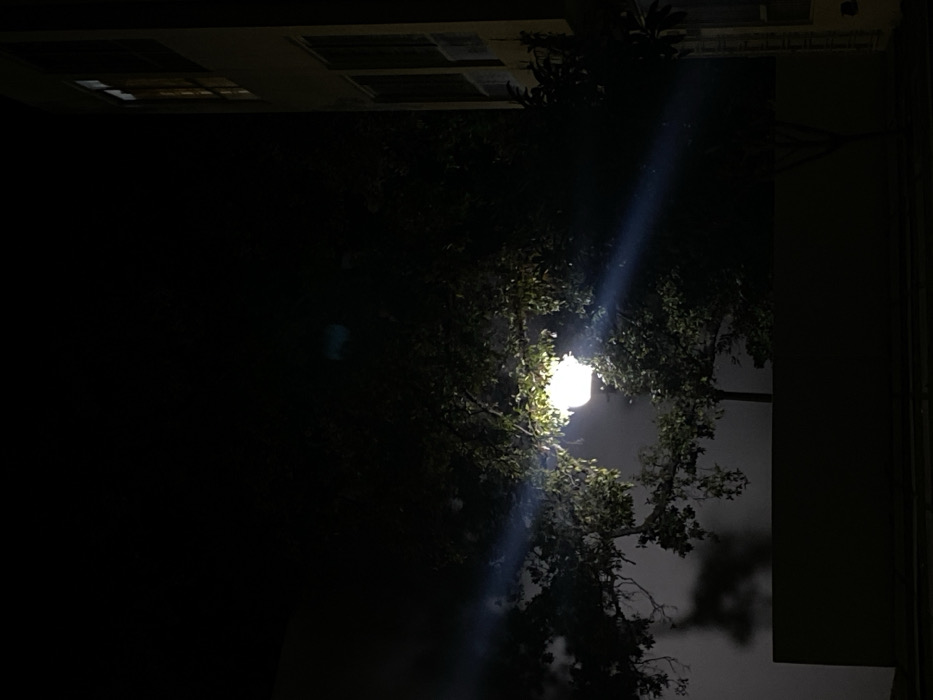 A night scene shows a street light partially obscured by the leaves of a tree. The light is bright, casting a beam upward. Above the tree, the dark outlines of a building can be seen. To the right, a dark wall rises vertically. The sky is a dim gray behind the tree, contrasting with the darkness on the left side of the image.