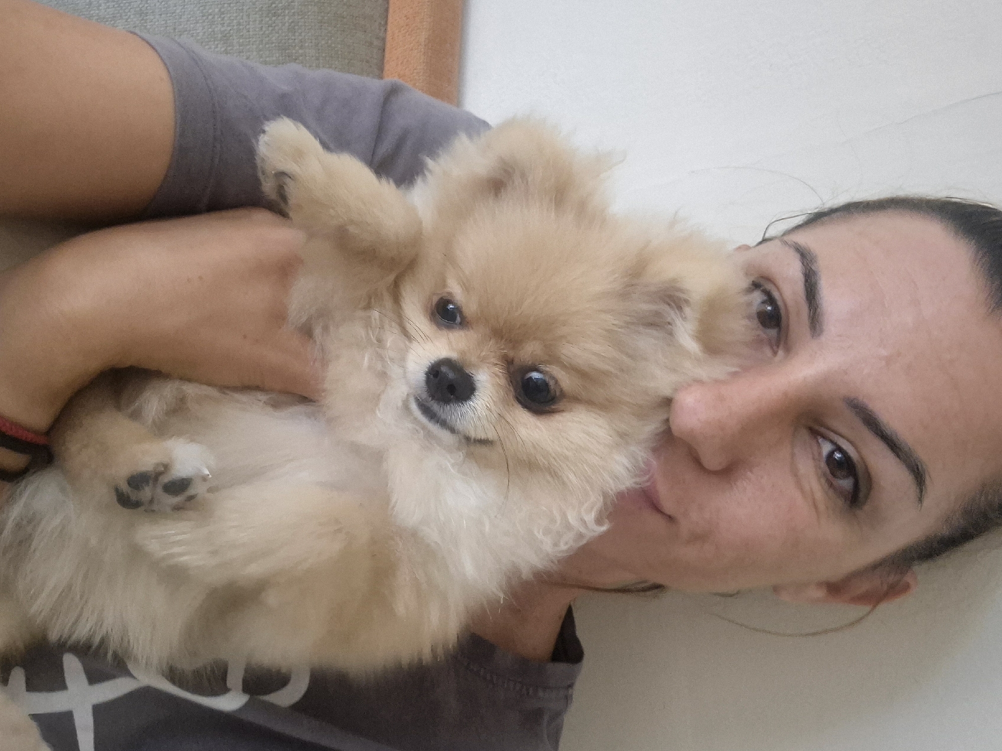 The image shows a close-up of a woman holding a small, fluffy Pomeranian dog. The woman's face is partially visible, and she is smiling. The dog is looking at the camera with its head tilted. The background appears to be an indoor setting, possibly a home, with a plain wall. There is no visible indication of the city of Burgas, Bulgaria, in the image.