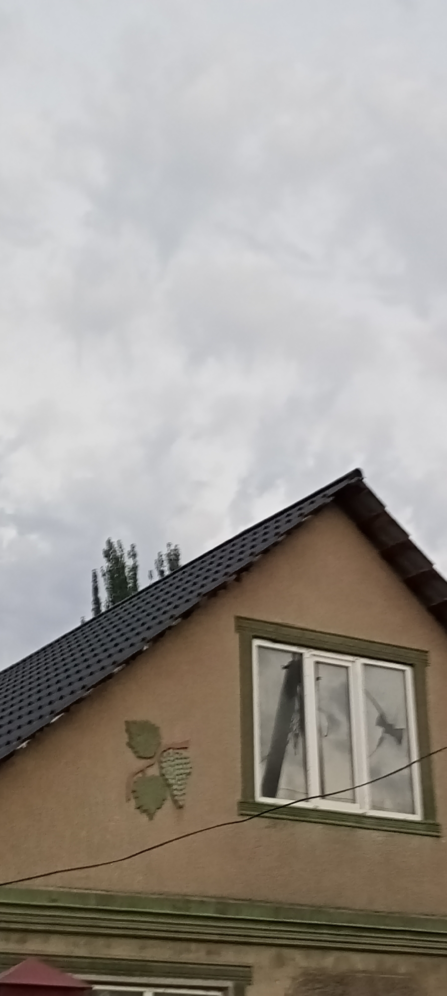 The image depicts the upper facade of a building in Sokuluk, Kyrgyzstan, under a cloudy sky. The building has a dark, tiled roof and beige-colored walls. A prominent feature is a large, multi-paned window with a white frame, surrounded by decorative green trim. Inside the window, reflections show a dark, elongated object, possibly a ladder or a pole. To the left of the window, there is a decorative bas-relief of green grape leaves and a cluster of grapes. A thin black wire runs horizontally across the wall below the window. In the background, silhouetted against the sky, are the tops of several tall, slender green trees. The overall impression is of a residential or commercial building exterior on an overcast day.