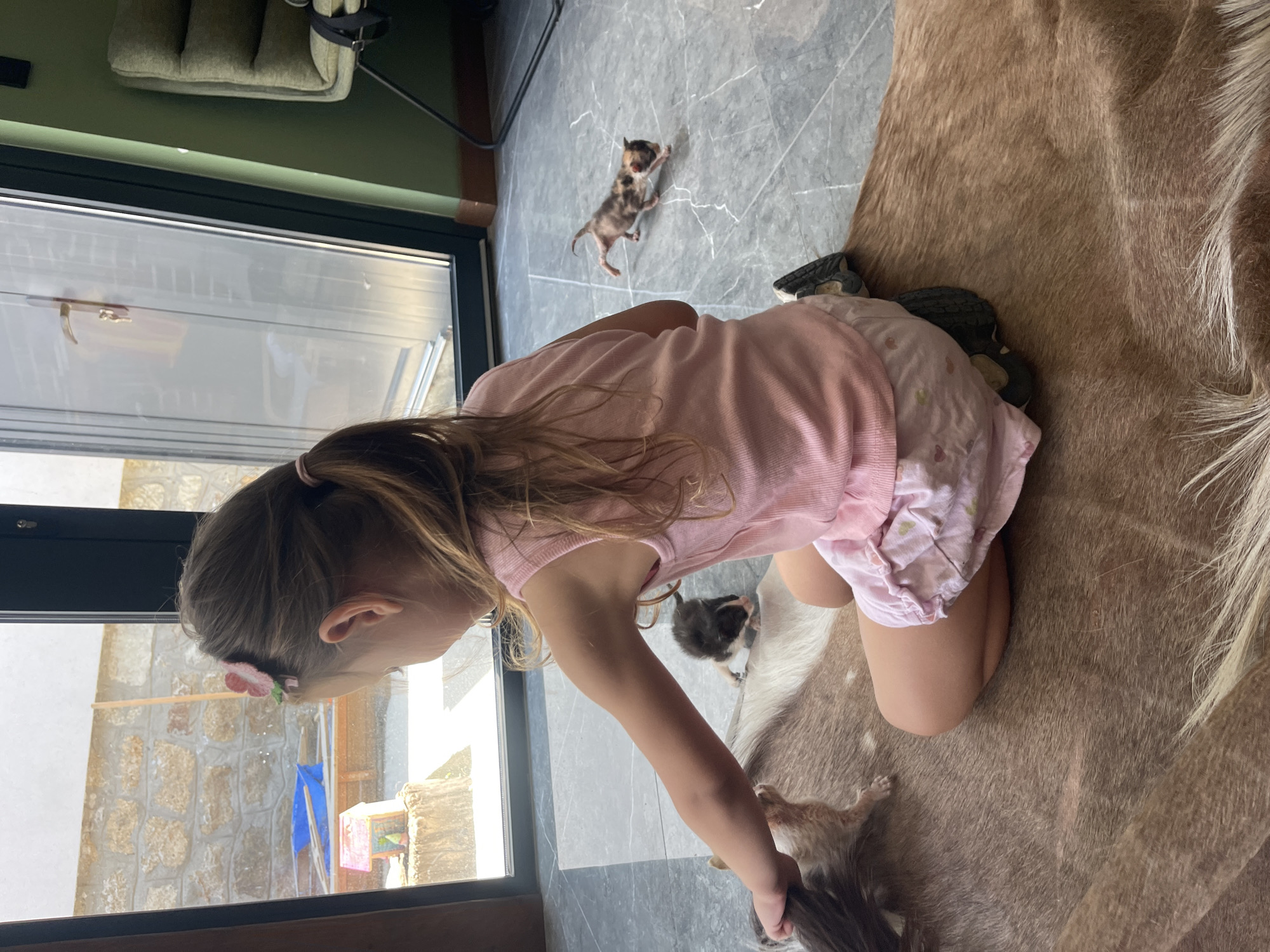 The image depicts a young girl with long brown hair, wearing a pink sleeveless top and pink shorts with a floral pattern. She is sitting on a large, tan-colored cowhide rug. In front of her, on the gray tiled floor, are two kittens. One kitten, mostly black with white markings, is looking towards the girl. The other kitten, a calico with patches of brown, black, and white, is walking away from the girl towards the right side of the frame. The girl's left hand is extended, and she appears to be interacting with something out of frame to the left. Behind the girl, a large sliding glass door offers a view of an outdoor area with a stone wall, a wooden bench, and some gardening tools. The overall setting suggests a domestic environment, possibly a home or a covered patio. There is no information in the image that allows for the localization of this scene to the city of Karlovo, Bulgaria.
