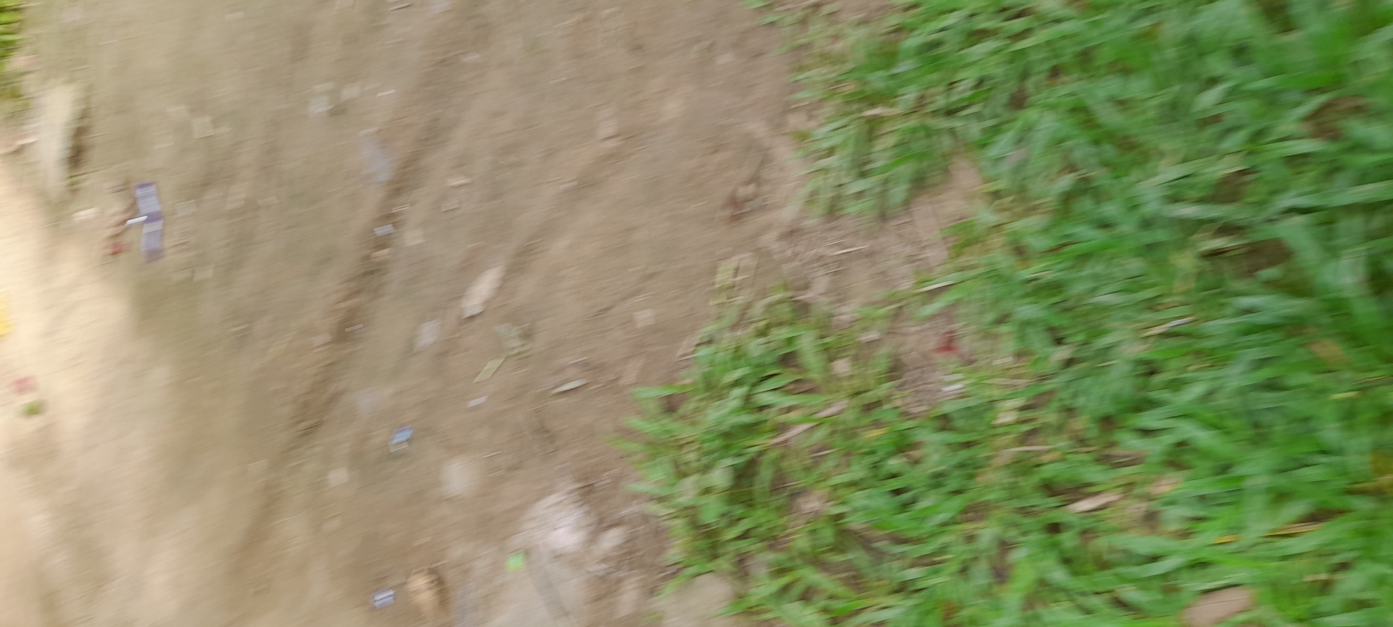 The image shows a dirt path running diagonally across the frame, bordered by green grass on the right side. The dirt path is light brown and contains scattered debris. The grass is dense and lush. The location is Palohpanyang, Indonesia.