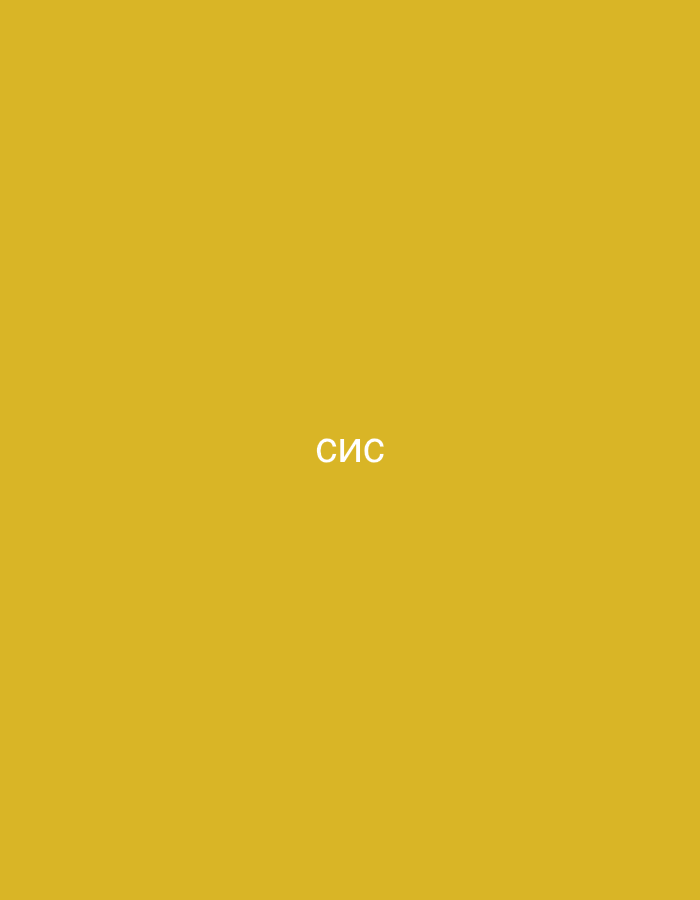 The image shows the word "СИС" in white text against a solid golden-yellow background. The text is centered horizontally and vertically on the canvas. There are no other discernible objects, people, or environmental features present in the image. The location in the city of Orekhovka, Russia is not visually represented.