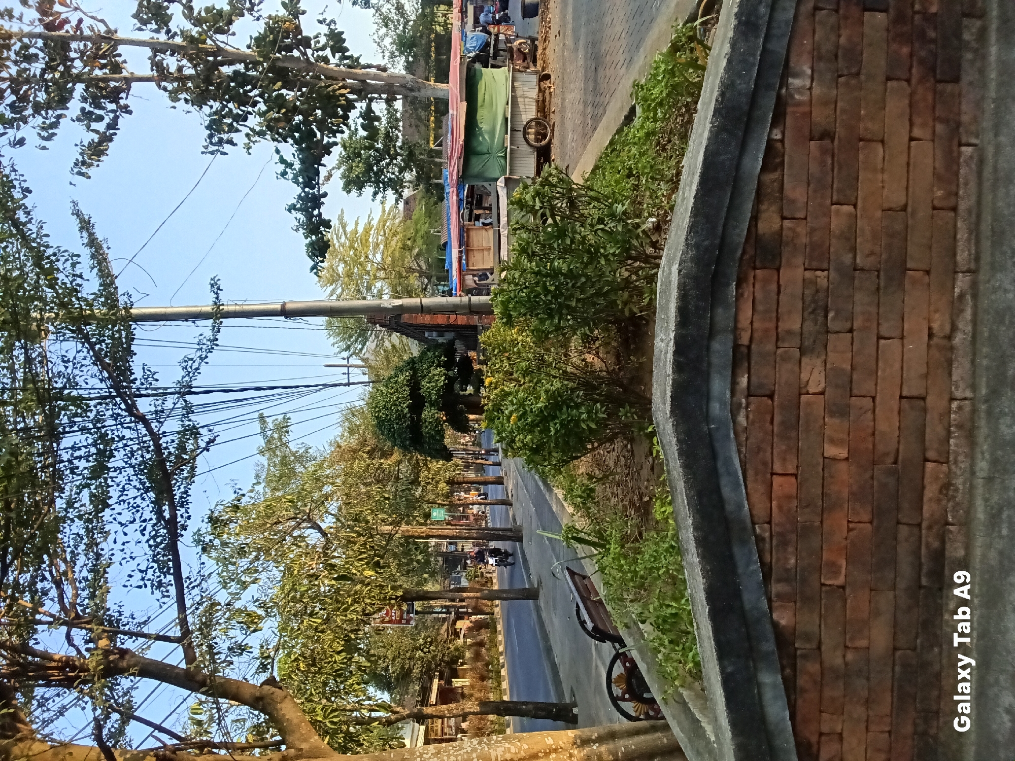 This image captures a street scene in Kelutan, Indonesia. In the foreground, a brick wall with a concrete cap creates a border. Beyond this wall, a small garden bed filled with green bushes is visible. To the left, a wooden park bench with decorative metalwork sits on a paved walkway.
The walkway runs alongside a street with a gentle curve. Trees line the street, providing shade. A single motorcycle rider is seen on the street, heading away from the camera. On the right side of the street, several market stalls are set up. One prominent stall has a white cart with wheels, covered by a green tarp and other colorful tarps. Some people are present near the stalls, but their actions are not clearly discernible. The sky is clear and blue, suggesting a bright day. The overall impression is a lively street scene in a semi-urban environment.