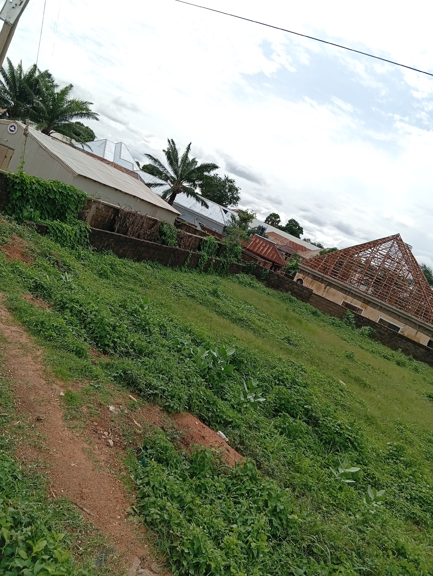This image depicts an outdoor scene in Jalingo, Nigeria, likely during the day. The weather appears overcast with visible clouds. The setting is a sloped grassy area with a dirt path running through it.
In the background, several buildings are visible. One building on the left is a light-colored structure with a corrugated metal roof, possibly a church or institutional building, as indicated by a circular logo on its side featuring text that is difficult to read but includes "CHURCH" and "MISSION". Next to it, another building with a similar roof is partially visible. Further to the right, a more substantial building under construction is prominent. It has a visible skeletal structure for a roof, suggesting ongoing building work. This building appears to be made of brick with an older-looking facade. Other structures with corrugated metal roofs are scattered further in the background, along with palm trees and other vegetation.
The overall impression is one of a semi-urban or peri-urban environment with both existing structures and ongoing development. The greenery suggests a potentially humid climate. There is no discernible human activity or emotion conveyed by the image. The focus is on the landscape and the architecture.
