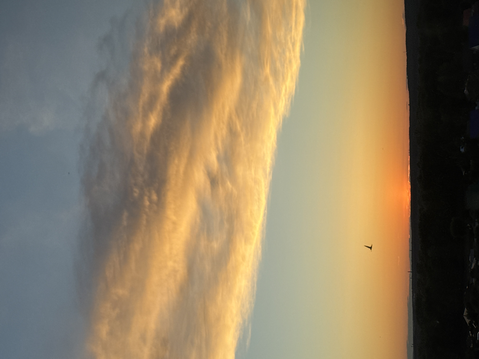 The image displays a vibrant sky scene at what appears to be either sunset or sunrise, presented in a vertical orientation. A large, elongated cloud formation dominates the left side of the frame, heavily illuminated with warm golden and orange light, showcasing its texture and form, while parts of it appear in cooler grey tones. The cloud stands out against a lighter blue sky.
The right side of the image reveals a radiant sky gradient. At the very bottom of this section, the sun is visible as a bright orange glow just above a distant horizon line. Above the sun, the sky transitions from bright orange and yellow to a lighter, softer blue towards the top. A distinct, dark silhouette of a bird with outstretched wings is captured mid-flight against this colorful sky, positioned towards the lower middle-right of the frame. Along the far right edge, a dark, indistinct silhouette of a distant landscape or land mass marks the horizon.
The overall lighting suggests the "golden hour," characterized by soft, warm hues. There are no visible people or discernible text in the image.