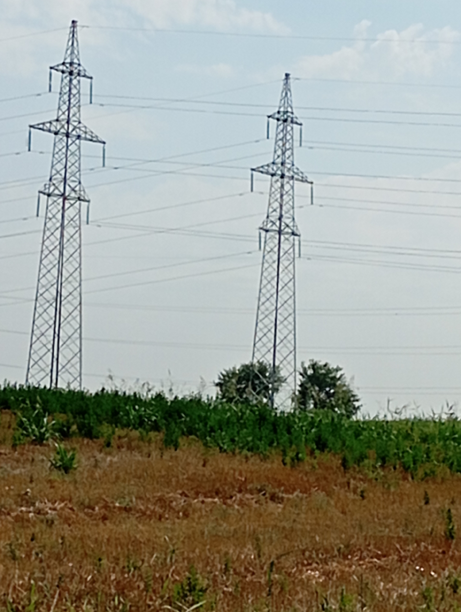 The image displays a landscape with two tall, lattice-style electricity pylons dominating the scene. These pylons are constructed from metal and are designed to support high-voltage power lines, which stretch across the sky behind them. The pylons are positioned on the left and right sides of the image, creating a sense of depth. Between the pylons, in the mid-ground, is a cluster of green trees. The foreground is a field of dry, brown grass and some scattered green vegetation. The sky is overcast with a pale, hazy light. The scene appears to be in a rural or semi-rural area.