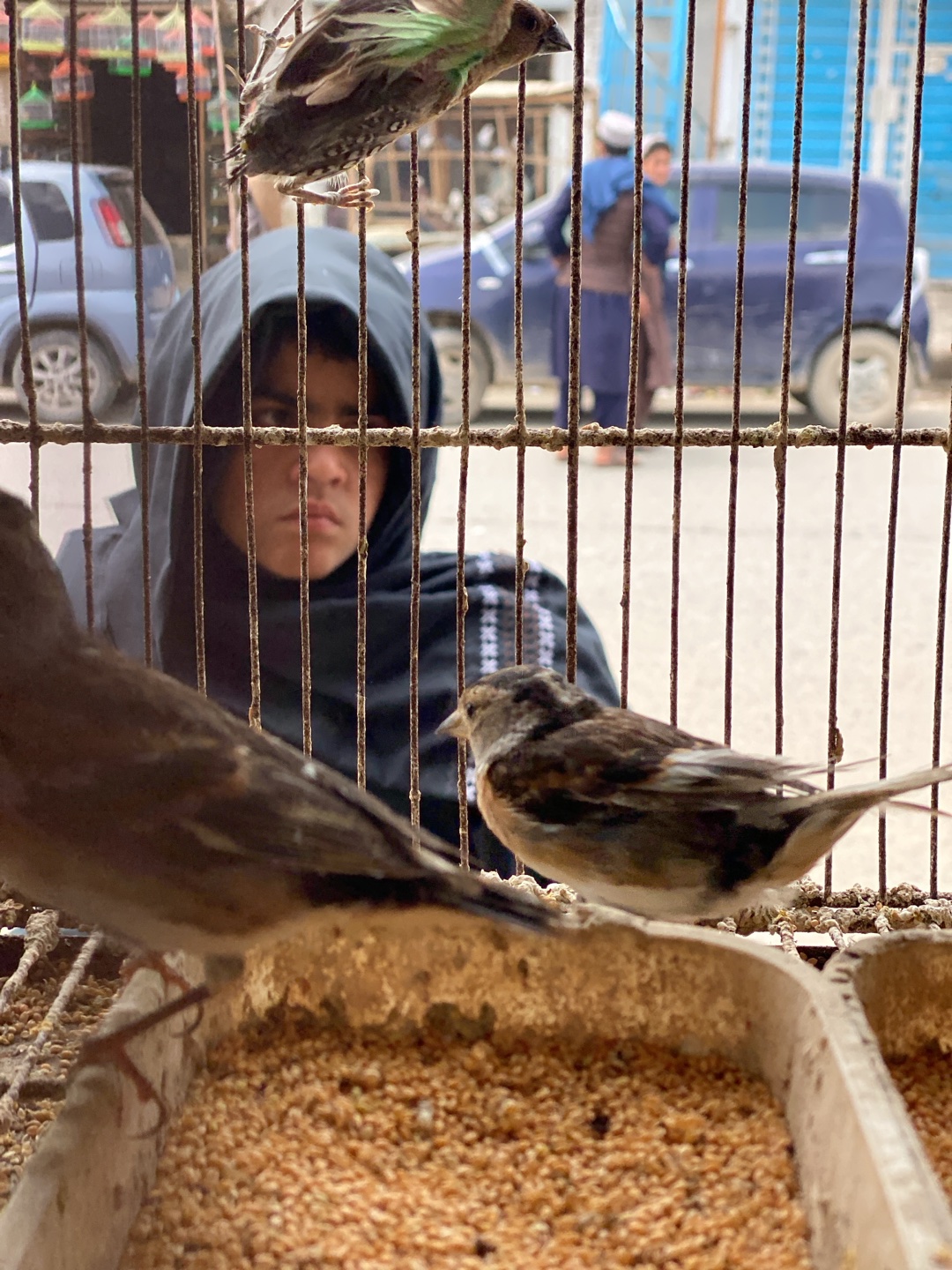 Memory