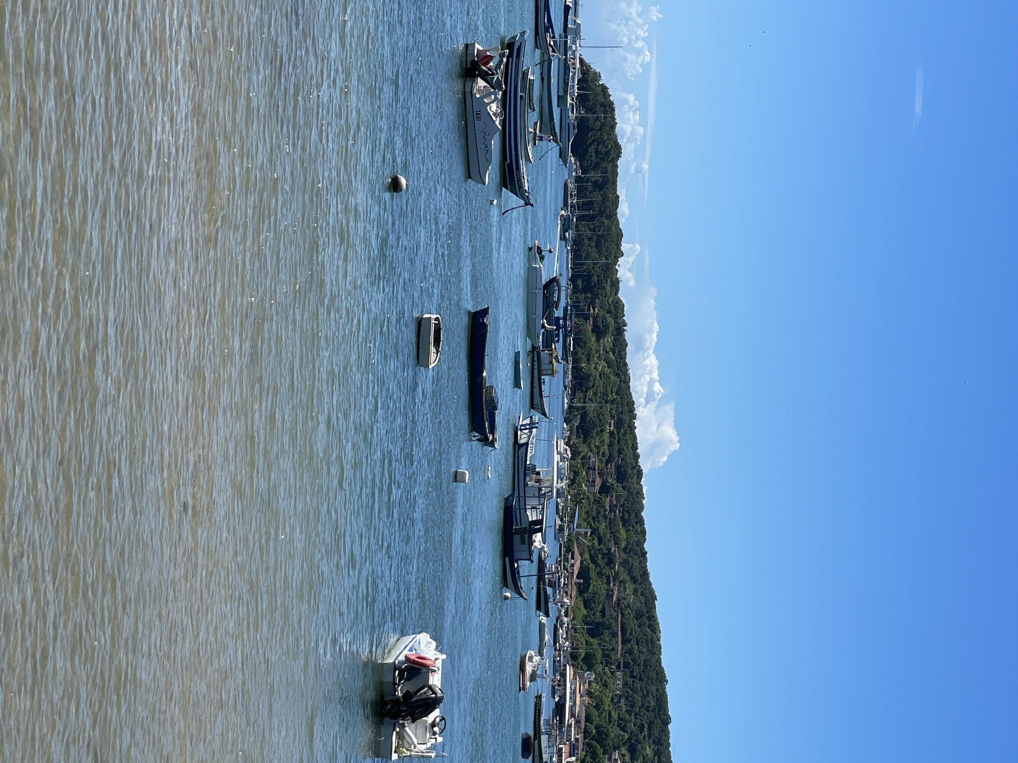 The image depicts a waterfront scene in Armação Dos Búzios, Brazil, characterized by multiple boats of various sizes anchored in a body of water. The water appears slightly choppy with evident surface texture. A densely vegetated hillside borders the water on the right side of the image, with structures visible amidst the trees, suggesting a residential or developed area. The sky is clear and blue, with minimal cloud cover. The boats range from small dinghies to larger motorized vessels. The composition of the scene suggests a tranquil harbor or bay setting, with a focus on leisure boating activities.