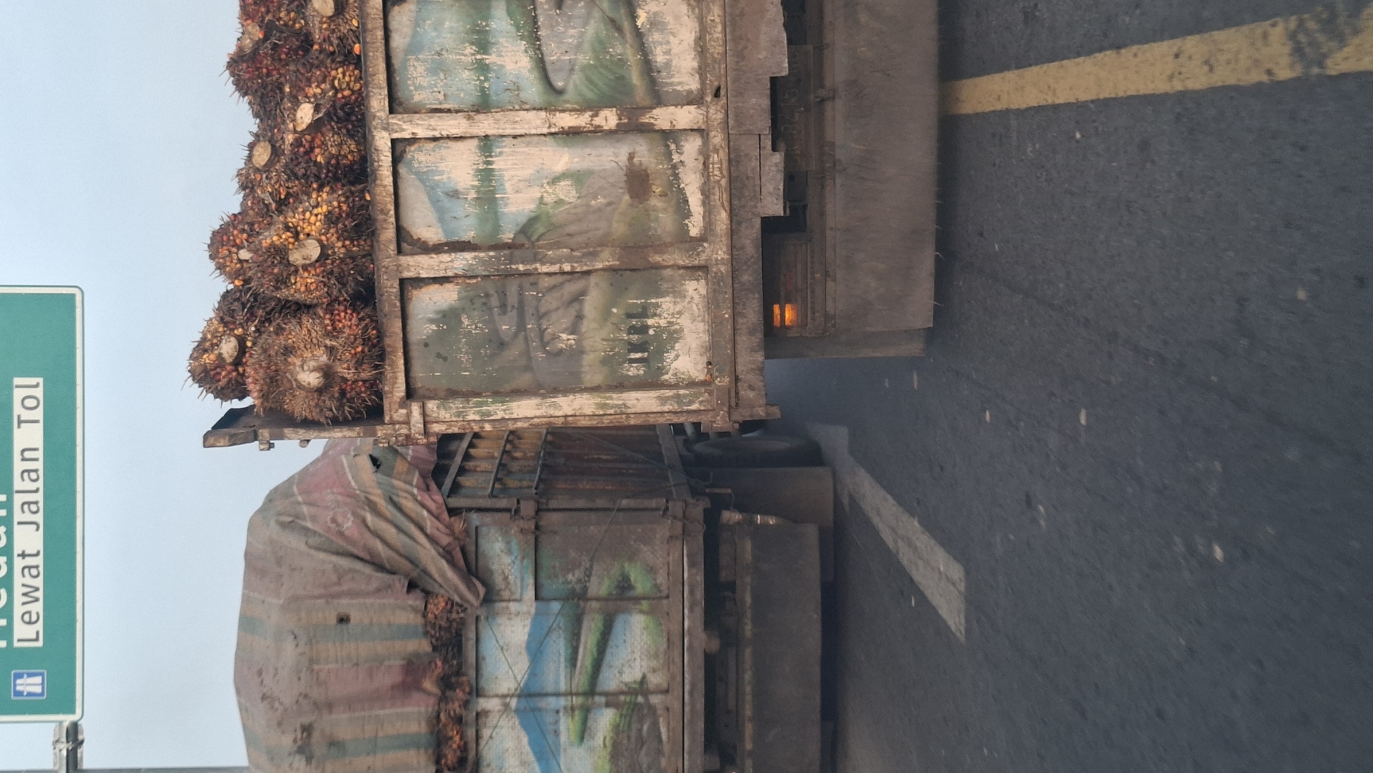 Two trucks are driving on a highway. The truck in the foreground is on the right, and the truck in the background is on the left. Both trucks are carrying large loads of palm oil fruit. The truck in the background is covered with a tarp. The trucks are on a paved road with yellow and white lane markings. In the upper left corner of the image, a green highway sign reads "Lewat Jalan Tol," which translates to "Through the Toll Road" in Indonesian. This indicates the trucks are in Tanjung Pura, Indonesia, on a toll road. The sky is overcast.