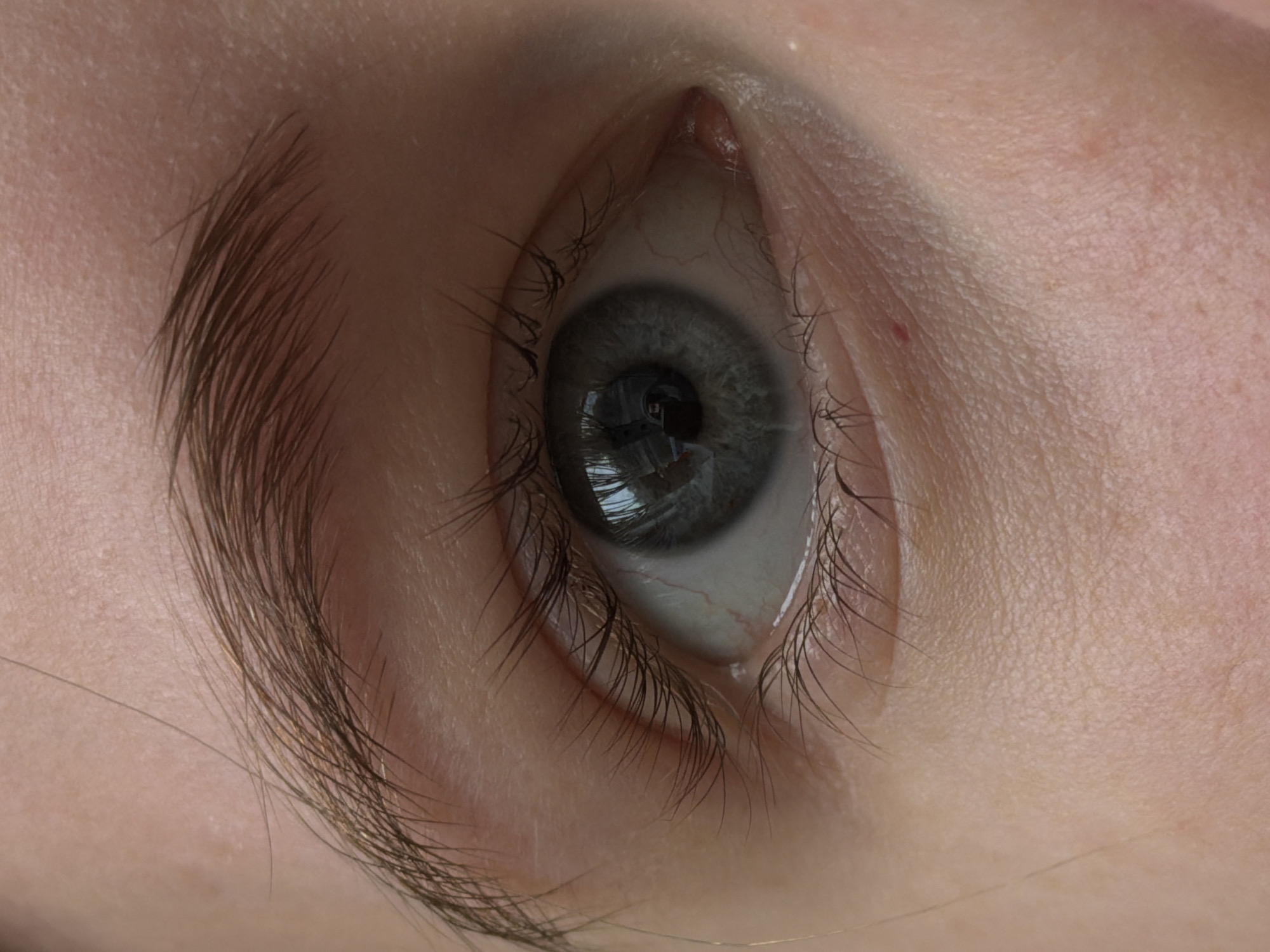 This image is an extreme close-up of a human eye, focusing on its intricate details and surrounding skin. The subject's eye features a blue-grey iris with a dark pupil that reflects indistinct shapes, possibly a window or interior elements, indicating an indoor setting. Long, dark eyelashes are prominent, especially along the lower eyelid, framing the eye. A portion of a dark brown eyebrow is visible on the left side of the frame.
The skin around the eye displays fine texture, including visible pores and subtle lines. A small reddish area can be observed near the inner corner of the eye (tear duct). A notable detail is a single, fine, light-colored hair stretching horizontally across the lower part of the image.
The image captures a moment of observation, though no specific activity or emotion is discernible from this highly magnified perspective. The lighting appears to be ambient, likely from an indoor source. There are no visible texts or specific location cues within the image that point to Perm, Russia.