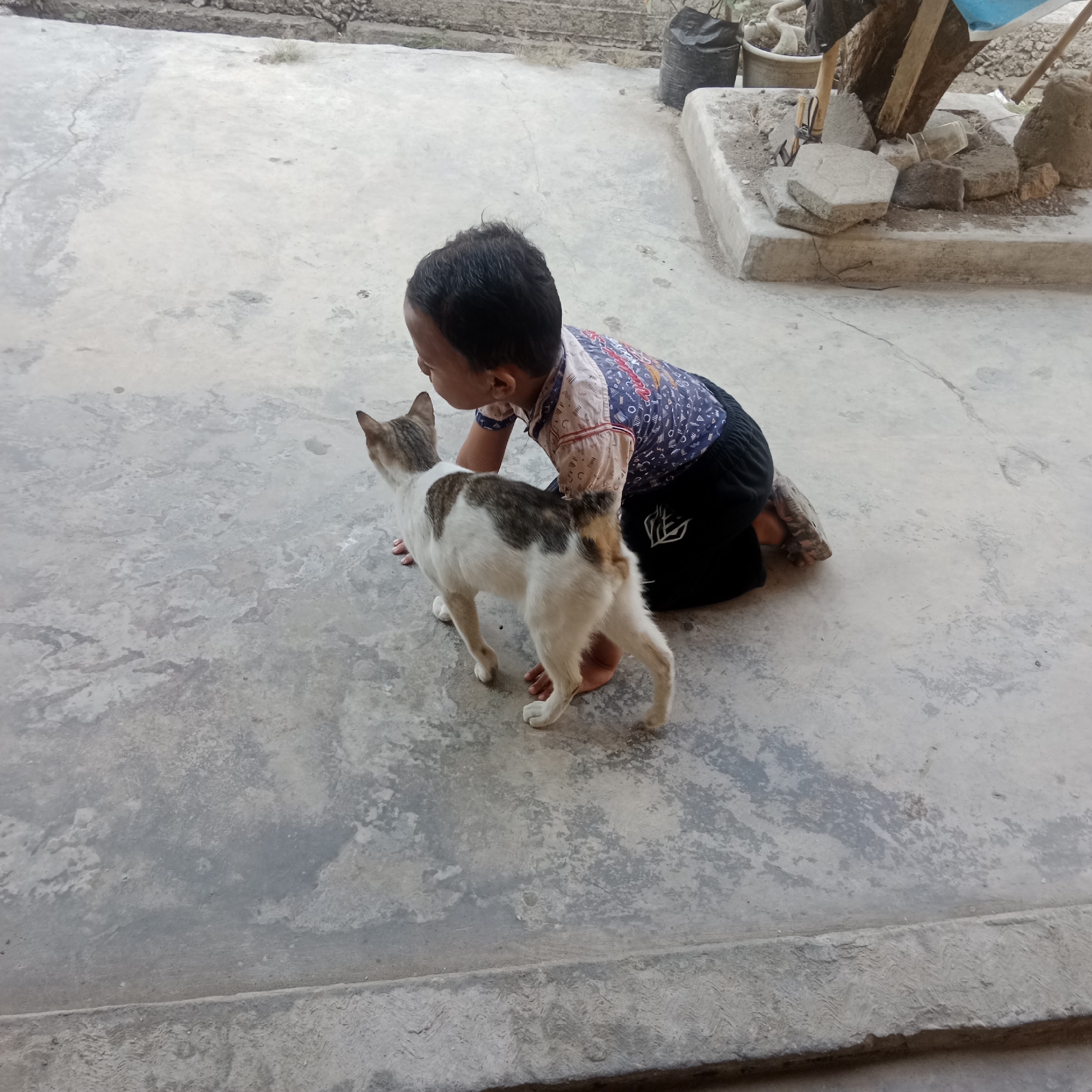In Tegowanu Kulon, Indonesia, a young child is on all fours on a concrete surface, facing away from the camera. The child is wearing a patterned shirt with blue and white elements and black pants. A calico cat, primarily white with brown and grey patches, stands facing the child. The cat's tail is slightly curled. The concrete ground has visible cracks and variations in color. In the background, a low concrete platform is visible, supporting some rocks, a piece of wood, a plastic bag, and a pot with a plant.