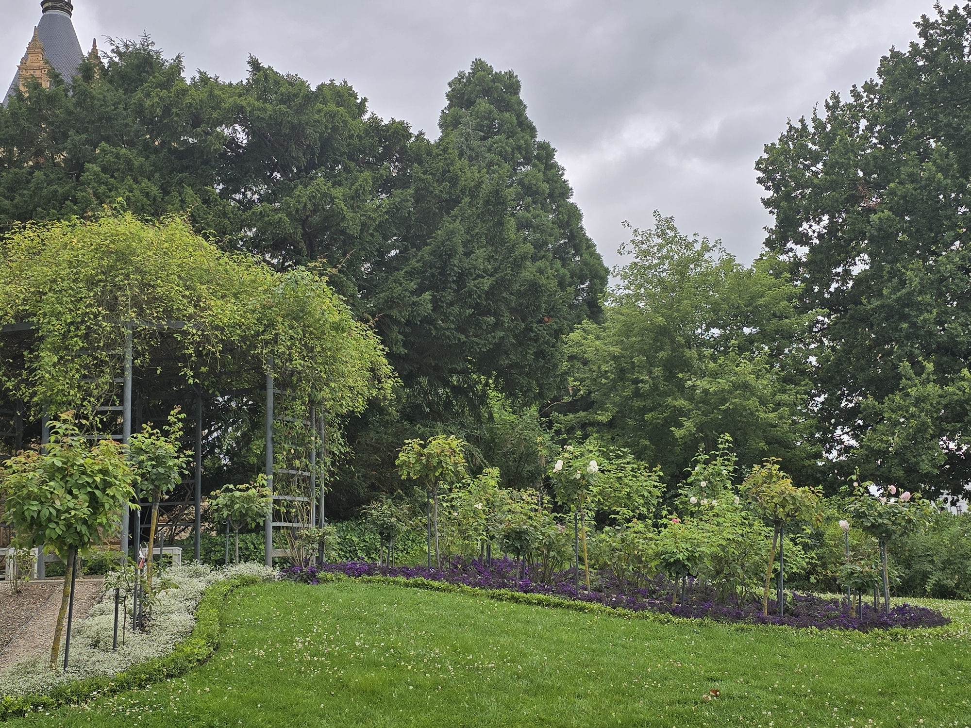 The image shows a lush garden with a variety of trees and flowering plants. In the foreground, a manicured lawn is bordered by a low hedge and a curved bed of small purple flowers. Beyond this, a row of rose bushes with pink and white blooms are neatly arranged. Some of the rose bushes are trained on stakes, creating a formal appearance. Behind the rose garden, there is a dense backdrop of mature trees, including evergreens and deciduous trees, which form a thick canopy. To the far left, a portion of a building with a dark, pitched roof and ornate architectural details is visible, peeking out from behind the trees. The sky is overcast, suggesting a cloudy day. This scene is part of the Schelfmarkt Park in Schwerin, Germany, a public park known for its historical significance and botanical collections. No people or animals are visible in the image.