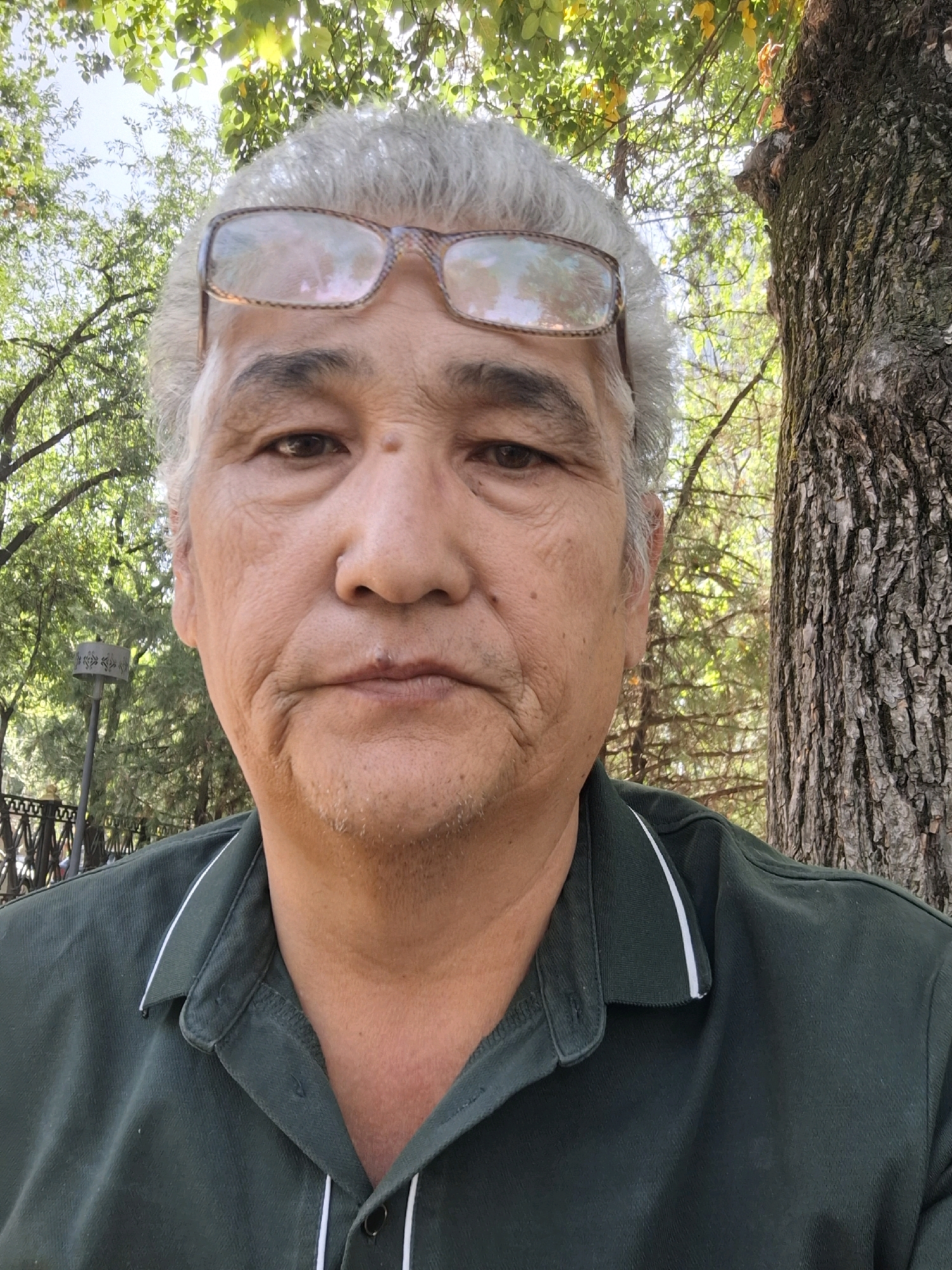 A close-up, frontal outdoor selfie features an East Asian man in his late 60s with gray hair and glasses. He is wearing a dark green collared shirt with white trim. He is positioned in front of a large tree trunk and surrounded by greenery, suggesting a park or forested area. A lamppost and fence are visible in the blurred background. The image does not provide specific details to determine the location in Almaty, Kazakhstan.