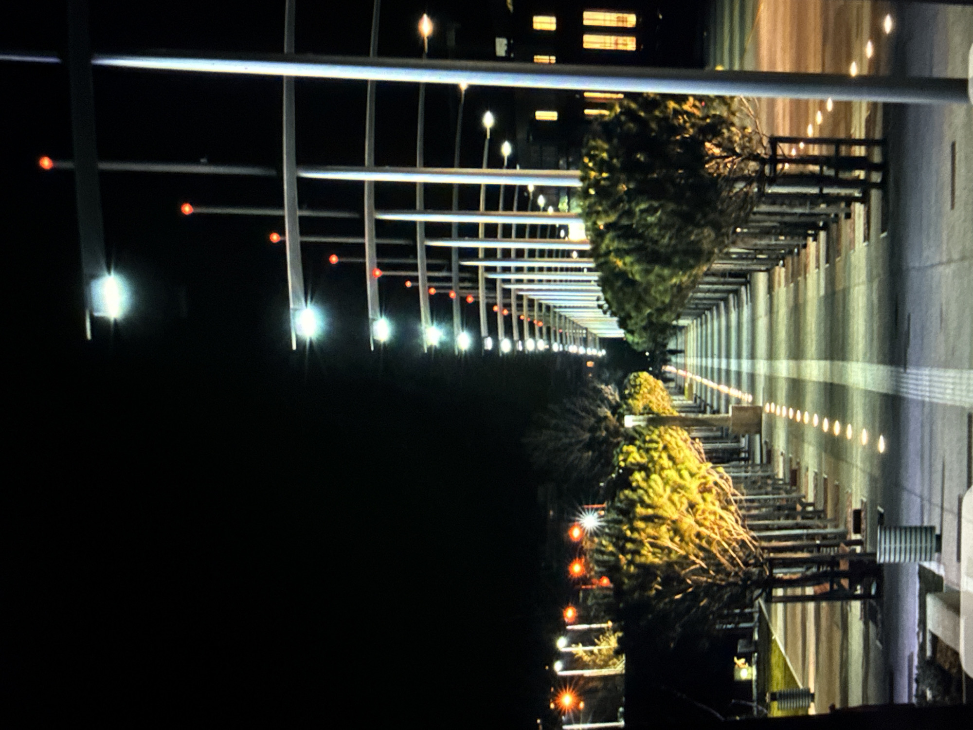 The image depicts an urban promenade in the city of Kardzhali, Bulgaria, at night. The scene is dominated by a long pedestrian walkway extending into the distance, flanked on both sides by rows of streetlights and trees.
The streetlights on the right side and extending down the promenade are tall, slender poles, mostly light gray or white, featuring horizontal crossbars. Bright white light fixtures are mounted on these crossbars, illuminating the area. Many of these poles are topped with small, distinct red lights. The lights appear to form an overhead canopy or archway over the path.
The walkway itself is paved, with a lighter-colored central stripe and numerous small, circular ground-level lights embedded in the pavement, arranged in linear patterns that guide the eye down the path.
Trees with yellowish-green foliage line both sides of the promenade, situated between the walkway and the streetlights. These trees appear to be relatively young or pruned, with visible branch structures and some supported by wooden frames.
In the background, on the right, a multi-story building is visible with several rectangular windows emitting a warm, yellow light. Other distant lights suggest further urban development. A solitary human figure is discernible walking away from the viewer in the far distance on the promenade. The overall environment is dark, indicating night, with the various lights providing illumination to the public space.
