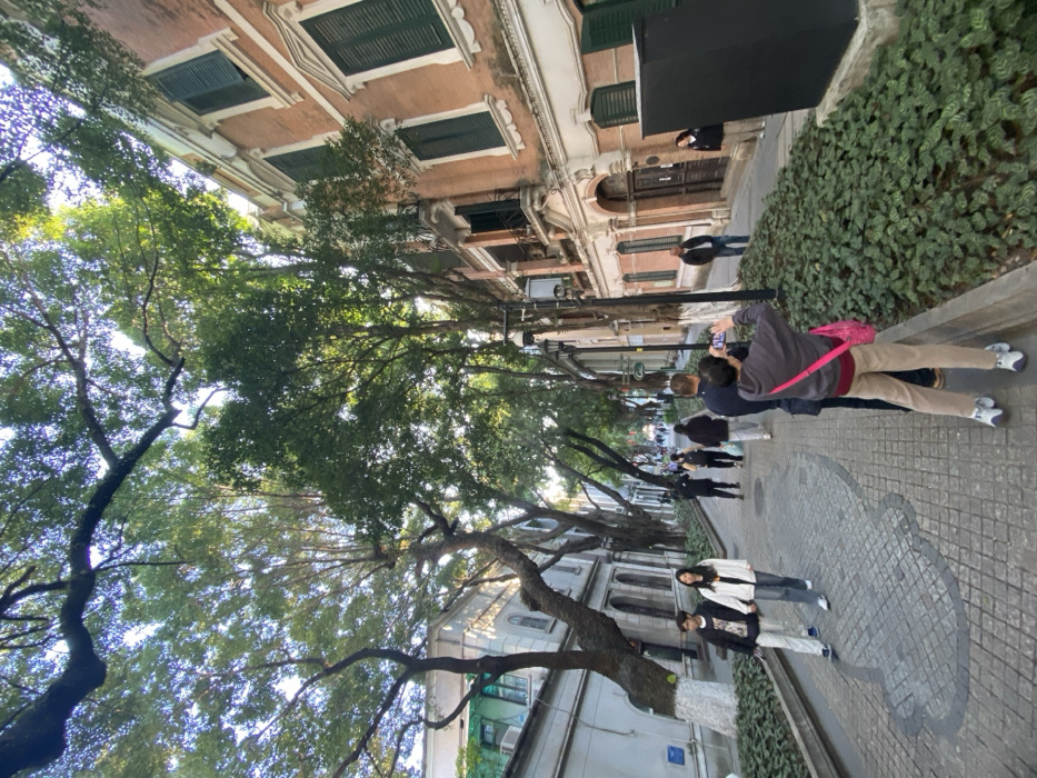 This image captures a vibrant urban street scene in Guangzhou, China, featuring a tree-lined avenue flanked by historic buildings and bustling with pedestrians. The perspective is slightly tilted, looking down the street.
On the right side of the frame, several multi-story buildings with European-style architecture stand tall. They feature warm brick-colored facades, white decorative trim, and dark green louvered windows. A low, meticulously maintained hedge runs along the base of these buildings, separating them from the sidewalk.
The street itself is heavily shaded by numerous large, mature trees with thick, gnarled trunks and dense green canopies, suggesting a subtropical climate. A wide sidewalk, paved with intricate grey and white patterns resembling cobblestones, including a large, distinctive cloud-shaped design in the foreground, guides the eye down the street.
Several people are visible, engaging in typical street activities. In the immediate foreground, a person wearing a grey jacket, khaki pants, and a pink cross-body bag is actively holding up a smartphone, seemingly taking a picture or video of the scene ahead. Another individual in a dark jacket stands nearby. Further down the sidewalk, two people, a man and a woman, are standing still, possibly posing or waiting. Other pedestrians can be seen strolling in the background.
The lighting suggests it is daytime, possibly late afternoon or early morning, with soft, natural light filtering through the tree canopy. The overall atmosphere appears relaxed and conducive to sightseeing or a leisurely walk. There is no clearly legible text visible in the frame.