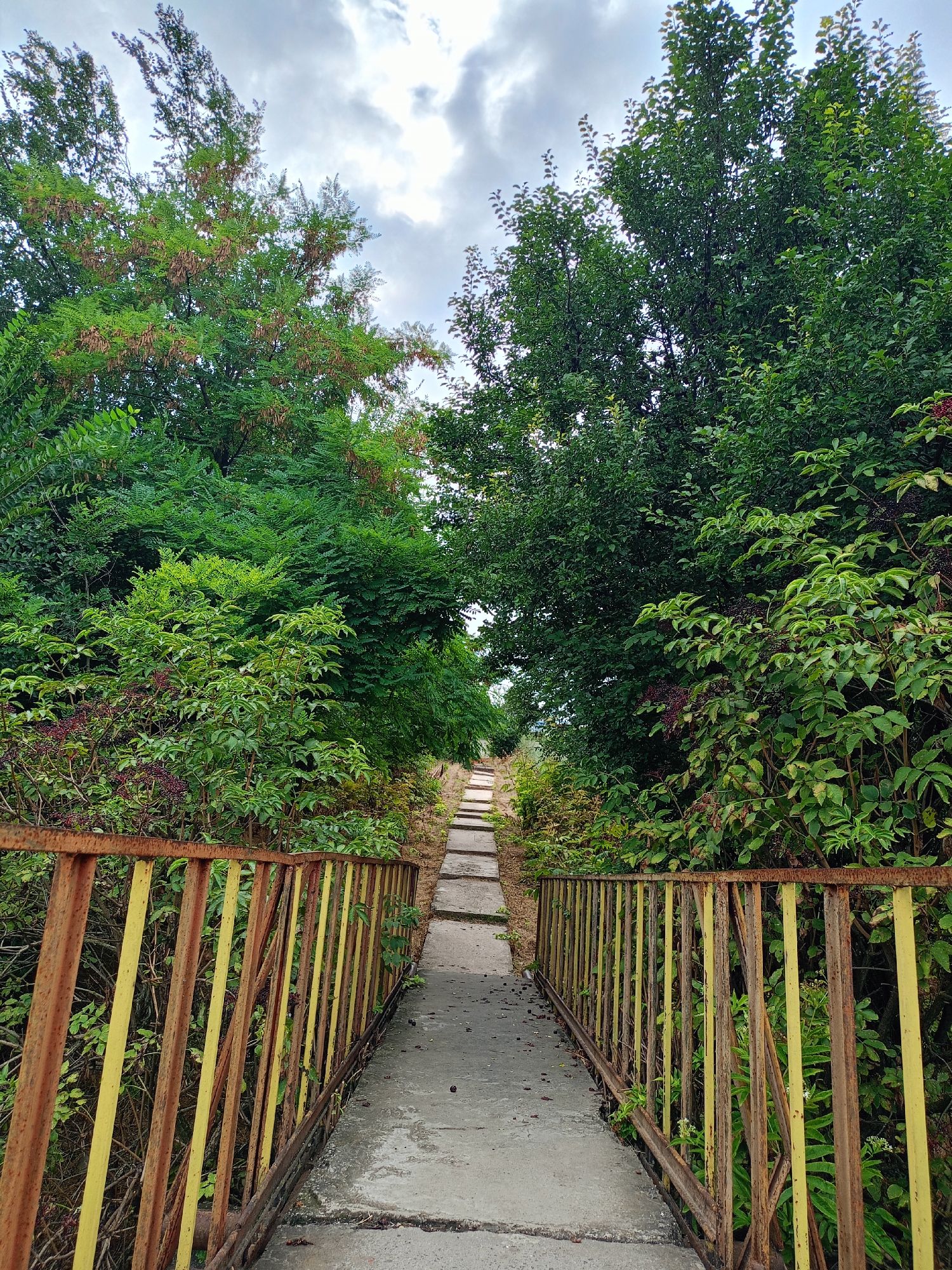 An outdoor, eye-level, full shot shows a concrete path leading up a slight incline, bordered by lush green trees and foliage. The path is flanked by a rusty, yellow and brown metal railing on either side. The railing on the left appears to be in slightly better condition than the railing on the right, which has some missing or broken vertical bars. The sky above is overcast with white and gray clouds. The scene is set in the village of Baurci, Moldova.