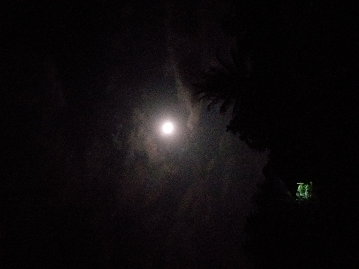 The image depicts a nighttime scene in Mns Alue, Indonesia, under a full moon. The sky, partially obscured by dark clouds, features a bright, spherical moon positioned in the upper center of the frame, emitting a diffuse white light. The lower two-thirds of the image are dominated by dense, dark silhouettes of tropical vegetation, including a distinct palm tree shape on the right side. In the lower-left quadrant, a small, rectangular area is illuminated with a vivid green light, emanating from an unseen source, possibly a structure or building, casting a prominent glow on nearby foliage. No discernible people, actions, or direct interactions are visible.