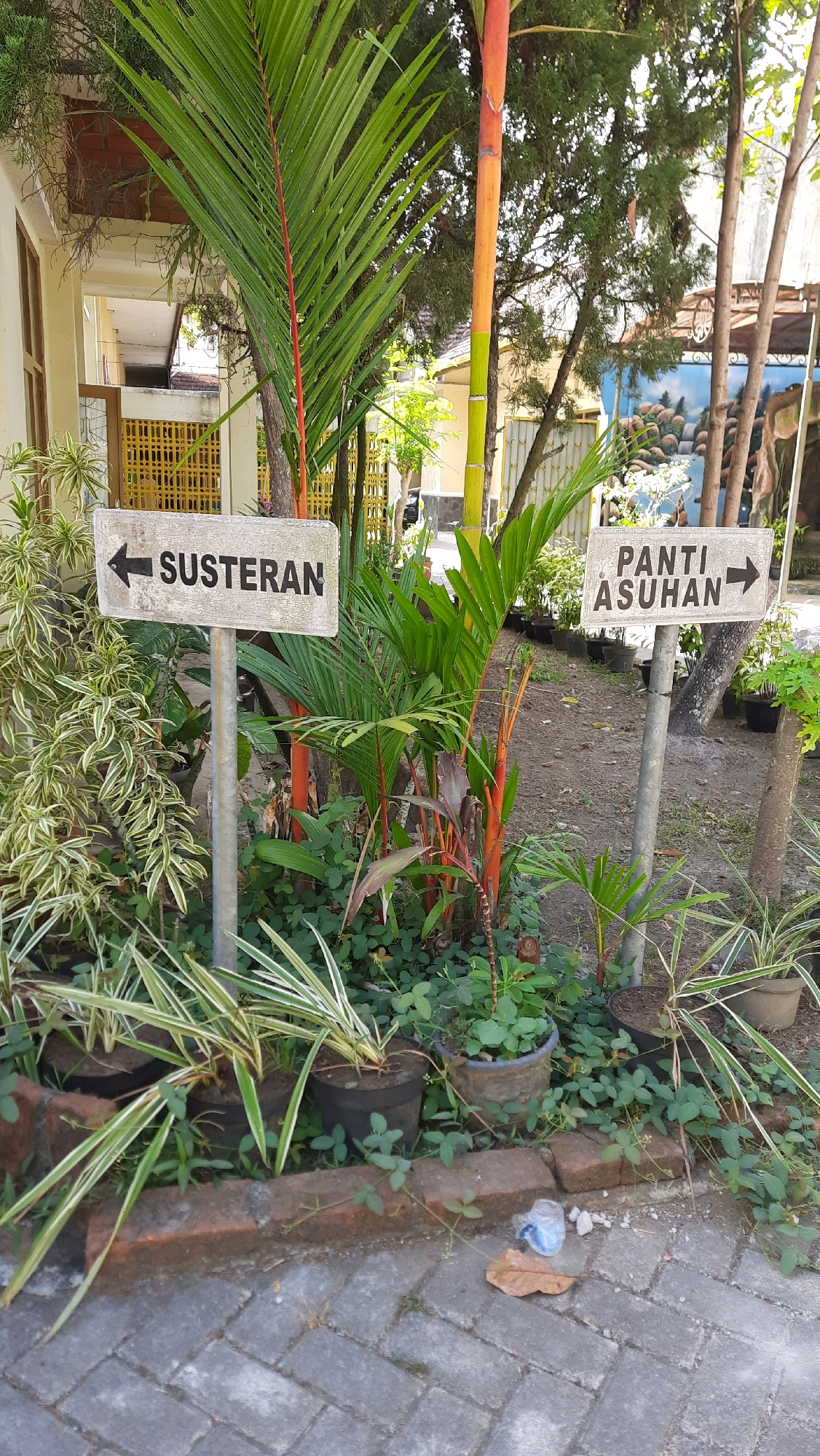 The image depicts an outdoor scene in Nanggulan, Indonesia, featuring two directional signs. The sign on the left, pointing left, reads "SUSTERAN". The sign on the right, pointing right, reads "PANTI ASUHAN". Both signs are mounted on metal poles amidst lush green foliage and tropical plants. In the background, there are buildings and trees, suggesting a public or institutional setting. The ground is paved with gray bricks, and some potted plants are visible. A fallen leaf and a crumpled plastic wrapper are on the ground near the pavement. No people are present in the image.