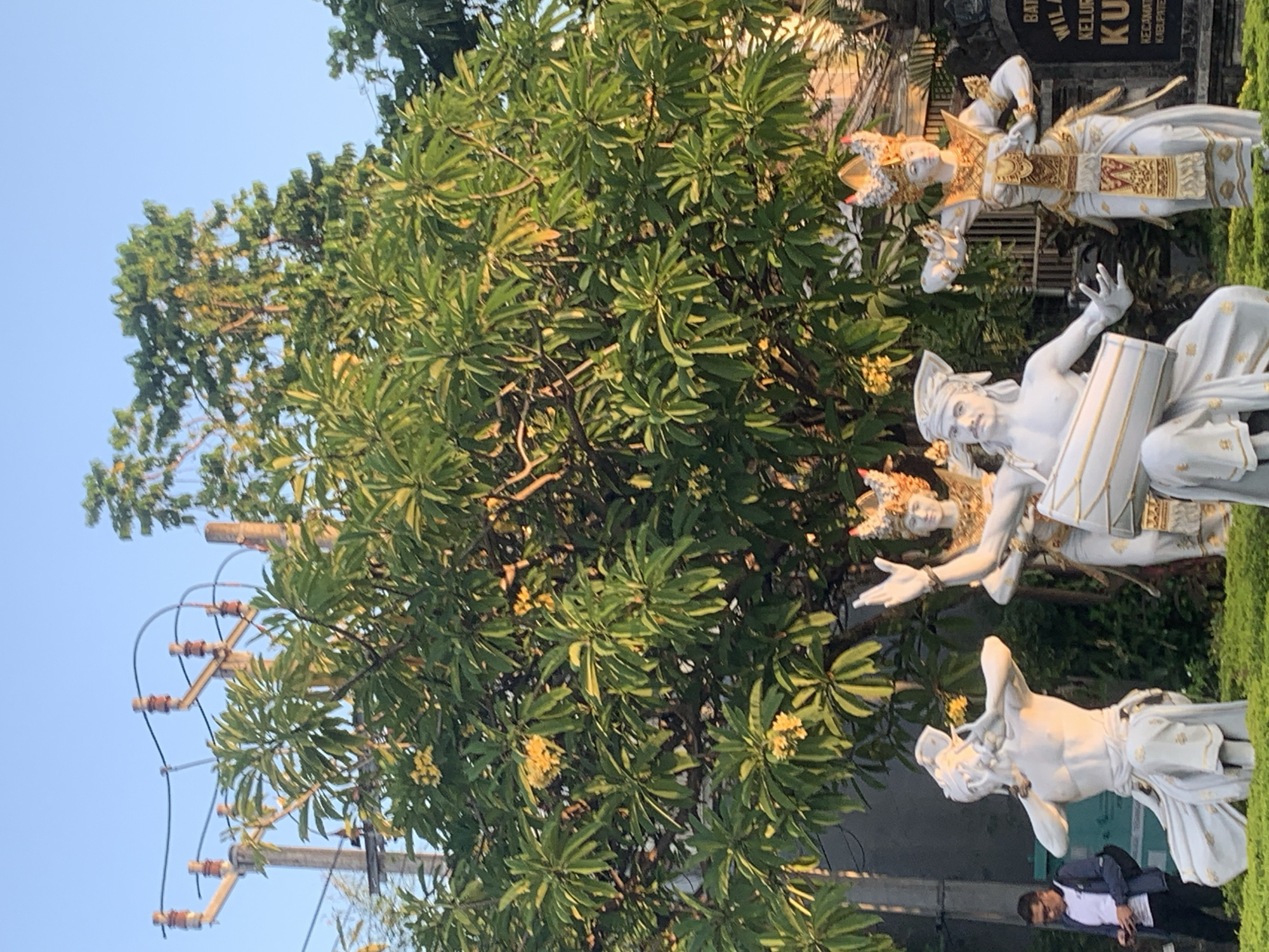 The image depicts a street scene in Denpasar, Indonesia, characterized by traditional Balinese art and infrastructure. In the foreground, there are several white statues of figures dressed in ornate costumes, likely representing dancers or performers. One statue is playing a drum, while others are in dynamic poses. Behind the statues, a large tree with lush green leaves and scattered yellow flowers dominates the scene, suggesting a tropical environment. Power lines and utility poles are visible in the upper left portion of the image, indicating an urban or semi-urban setting. To the left, a man in casual attire, wearing glasses and a blue jacket over a white shirt, is looking at his phone. A signpost with Indonesian text is partially visible on the right side, further confirming the location. The lighting suggests it is either early morning or late afternoon, with the sun casting a warm glow on the scene. The overall atmosphere is one of cultural vibrancy intertwined with everyday life.