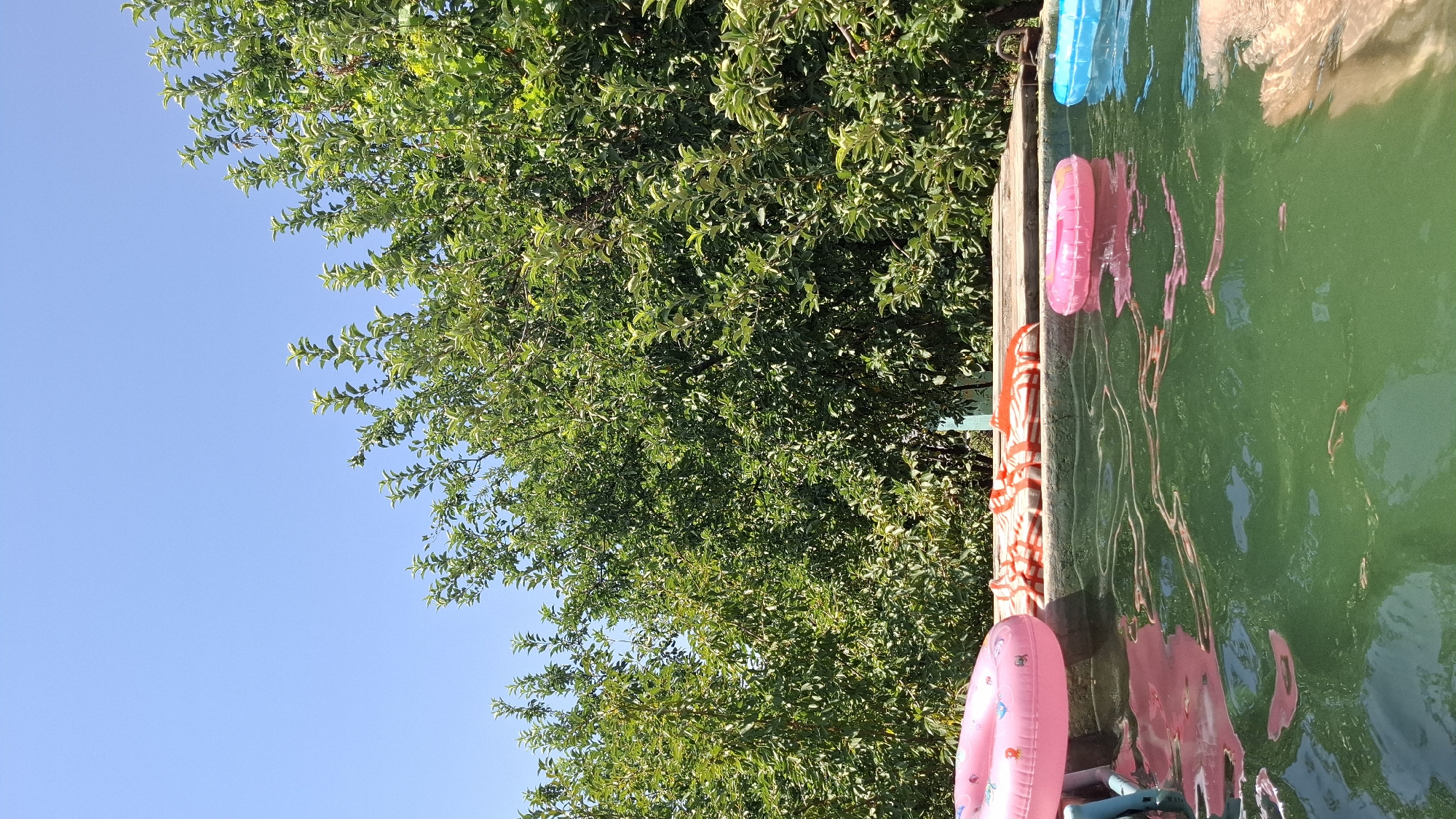 The image depicts a bright, sunny day with a clear blue sky. In the foreground, a swimming pool filled with green water is visible. Several inflatable rings are floating in the pool: a large pink one on the left, a smaller pink one in the center, and a blue one on the right. A person's legs are visible submerged in the water on the far right. On the edge of the pool, a striped towel with orange and white stripes is laid out, along with a red inflatable object, possibly a crab. Behind the pool, a dense wall of lush green trees fills the background, suggesting a natural or semi-rural setting. The scene evokes a sense of relaxation and summer leisure. The location is specified as Шұбарсу, Kazakhstan.