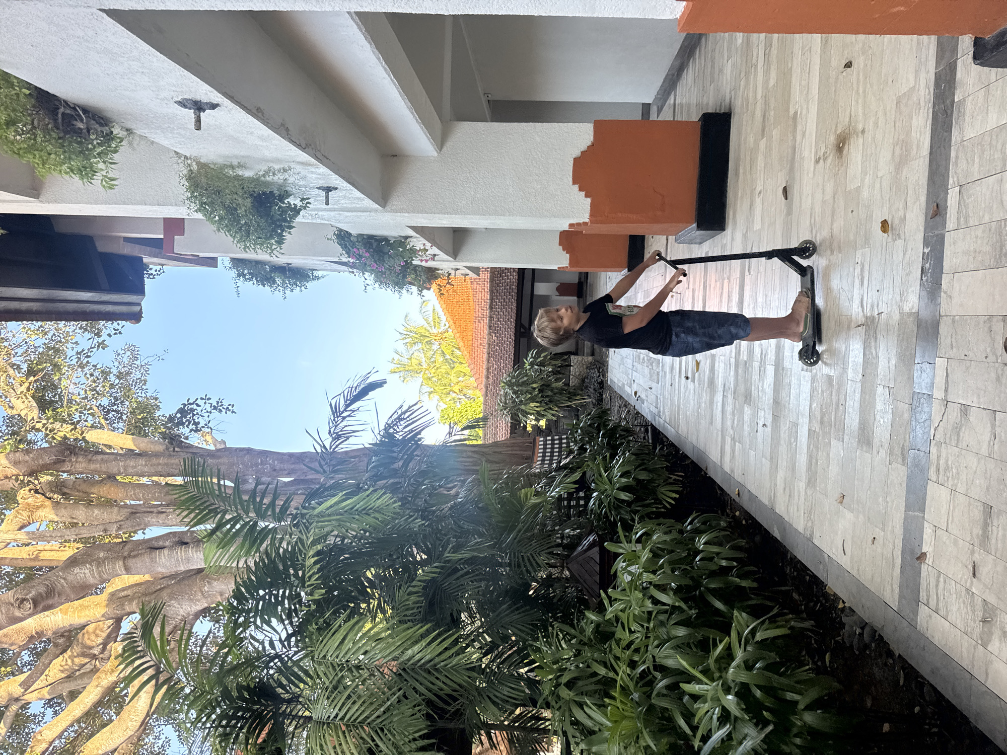In Kuta Selatan, Indonesia, a young boy stands on a scooter on a paved pathway. The pathway is lined with lush green plants to the left and a white building with orange accents to the right. The boy, wearing a black t-shirt and blue shorts, looks to his left. A large tree with visible roots and branches dominates the background on the left side of the image. The sky is clear and blue.