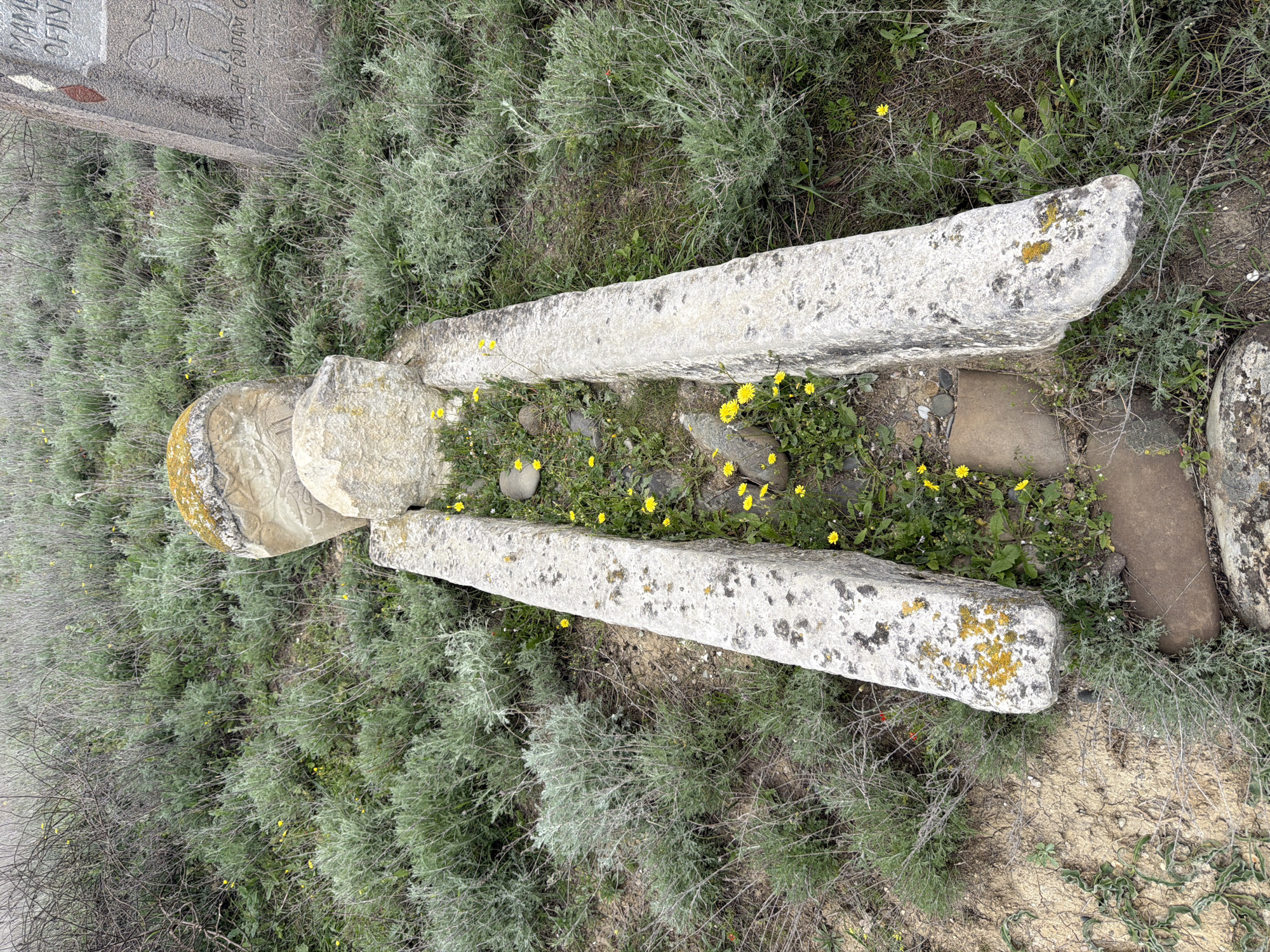This media file captures an outdoor scene featuring an ancient or traditional grave site, situated in a natural setting. The primary subjects are two elongated, weathered stone slabs lying parallel on the ground, likely marking the length of a burial. At one end of these slabs, a rounded, substantial stone serves as a headstone or another marker. The stones are light grey, with visible lichen growth, indicating age and exposure to the elements.
The area between and immediately surrounding these stone markers is covered with various types of low-lying vegetation. Small, bright yellow flowers, possibly dandelions, are scattered throughout the green grass and weeds, adding a touch of color to the scene. The wider environment is dominated by dense, greyish-green shrubbery, resembling sagebrush or a similar hardy plant, which suggests a dry or semi-arid climate. Patches of bare earth and dry twigs are also visible, particularly around the edges of the scene.
No activity or event is taking place; the image presents a static depiction of the site. The lighting indicates it is daytime, possibly under an overcast sky or during a time with soft, diffused sunlight, as there are no harsh shadows. The overall atmosphere is quiet and reflective, characteristic of an old burial ground. The location is Kapanachkhi, Georgia.
Visible text is carved into the upright stone in the background. The script appears to be Georgian. Although weathered, parts of the inscription can be discerned, such as "МАМИ" or "МАНА" and "ОГРУ" on the upper section, and "МАНА... САРПА..." on a lower line. Below the main text, a faint, weathered carving, possibly a stylized figure or religious symbol, is also visible on the stone.