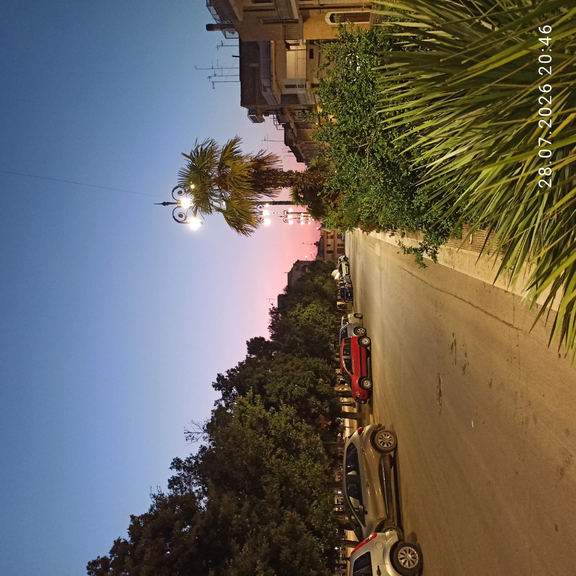 The image depicts a street scene at dusk in Bitonto, Italy. The sky displays a gradient of colors, transitioning from a deep blue at the top to a soft pink and orange near the horizon. Lined with trees and buildings, the street has parked cars on the left side, including a silver compact SUV and a red hatchback. A palm tree stands prominently on the right, adorned with ornate streetlights that are illuminated. Further down the street, buildings with balconies and antennas are visible. The foreground is dominated by lush green foliage. A timestamp, "28.07.2026 20:46", is overlaid on the lower right corner of the image. There are no people visible in the scene.