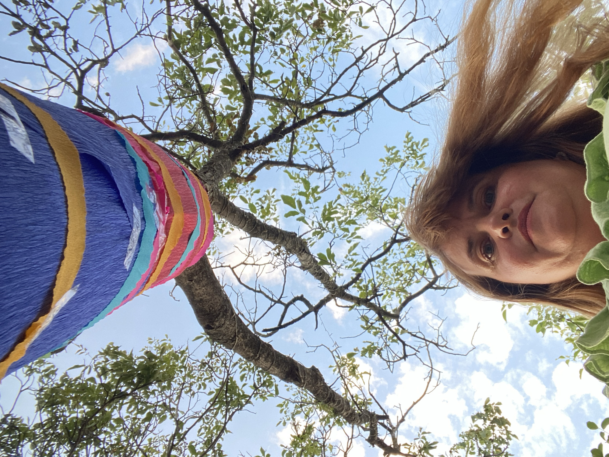 The image is an upward-angle shot of a woman's face from her chest to her forehead, with her hair blowing to the right. She is outdoors, with a tree branch extending over her head and colorful streamers hanging from it against a blue sky with scattered clouds. The woman has brown hair and is wearing a green top. The scene appears to be set in Purbach, Austria, amidst a natural outdoor environment.