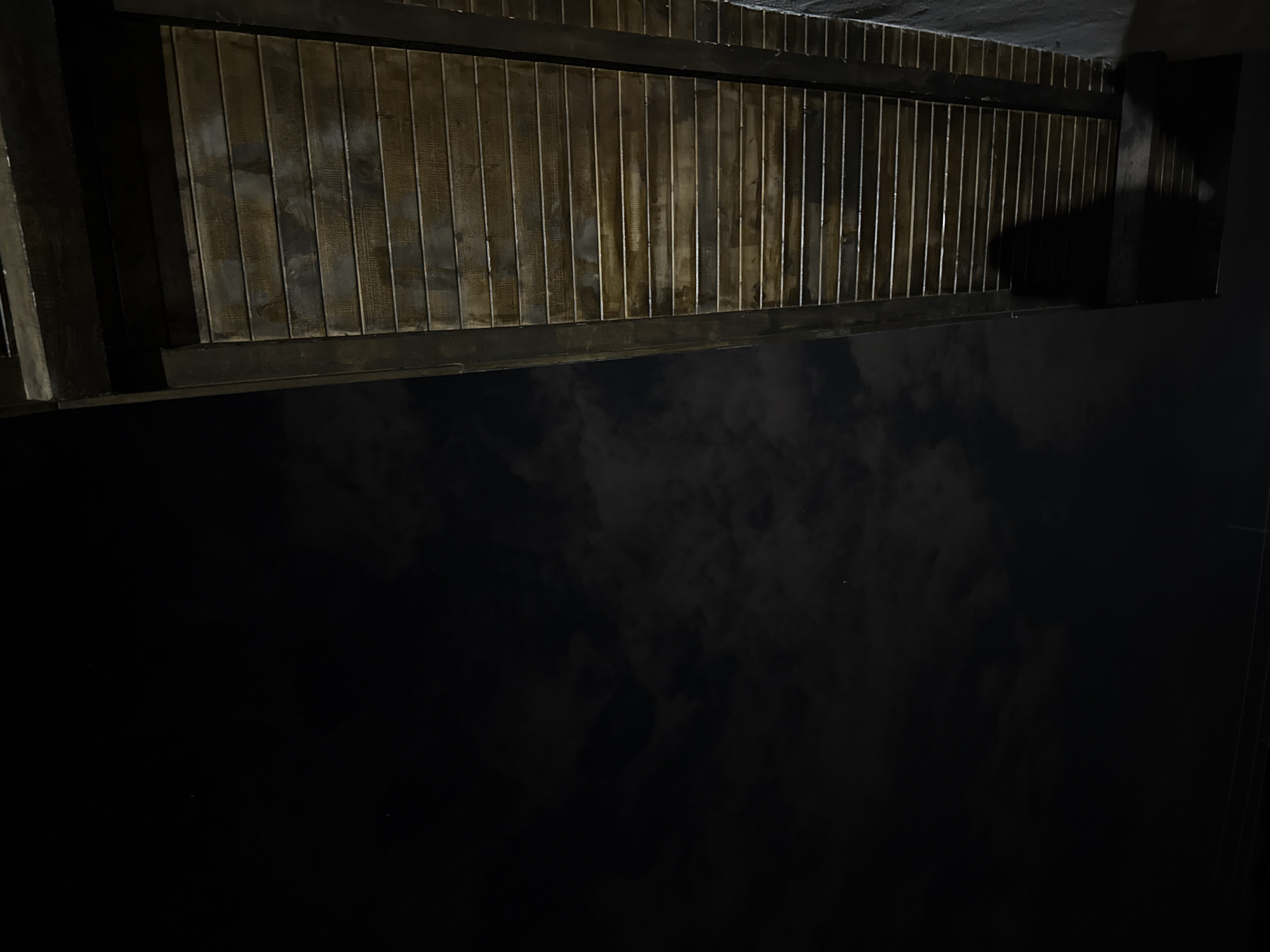 A low-angle shot looking up at a wooden structure in Ralevo, Bulgaria. The structure consists of closely spaced vertical wooden planks with horizontal supports at the top and bottom. The planks are dark with varying textures, and some appear wet. The upper portion of the image is dominated by the wooden structure. Below, a dark, partially obscured area resembling a body of water or dark ground is visible, with subtle patterns suggesting a slight haze or mist. A dark area on the right side frames the structure. The overall lighting is dim, emphasizing the textures and details of the wood.