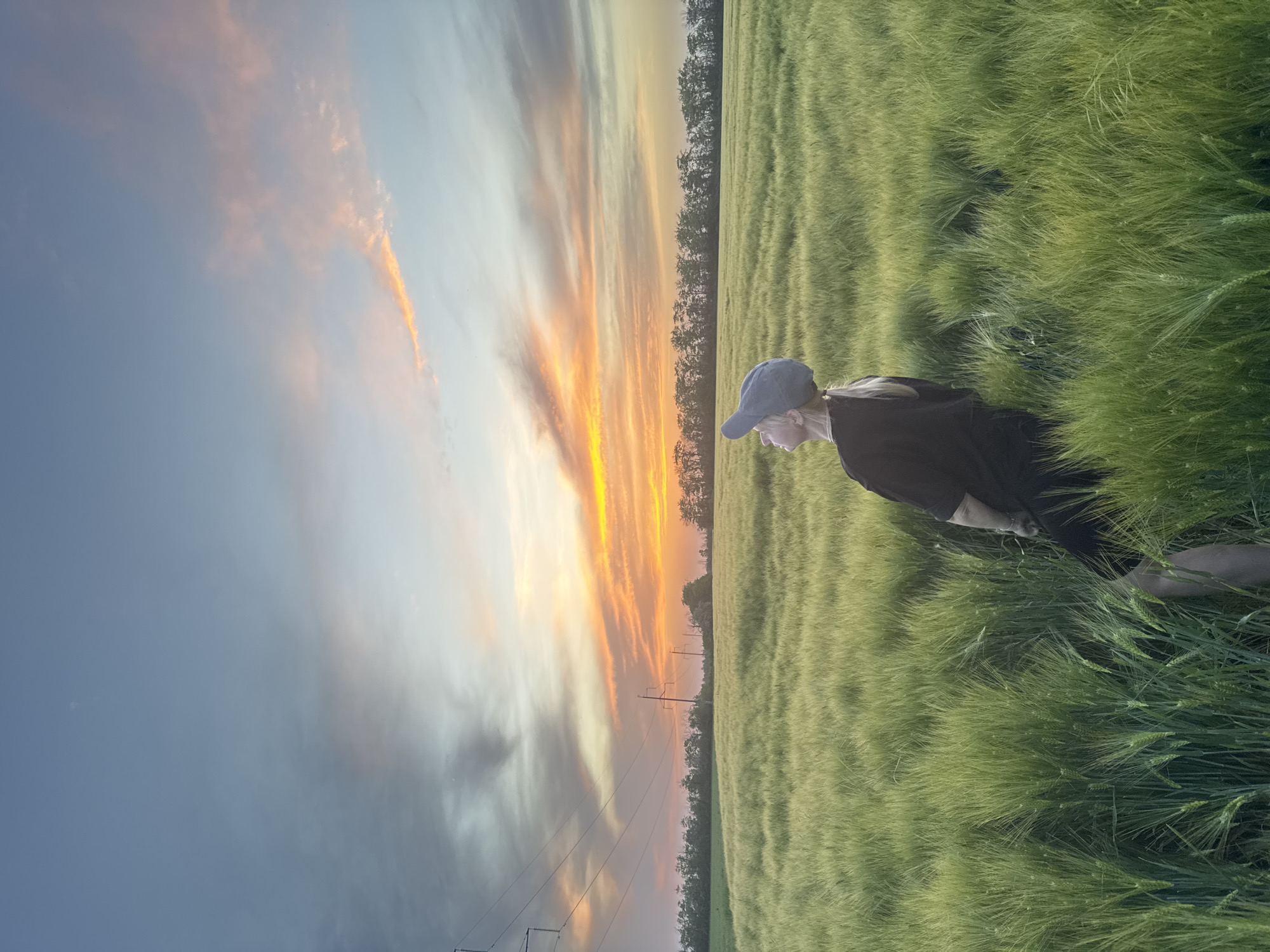 The image shows a woman standing in a field of tall green grass at sunset. She is wearing a dark shirt and a blue baseball cap. The sky is a mix of blue, orange, and yellow colors. In the background, there is a line of trees and power lines. The location is in the city of Beysug, Russia.