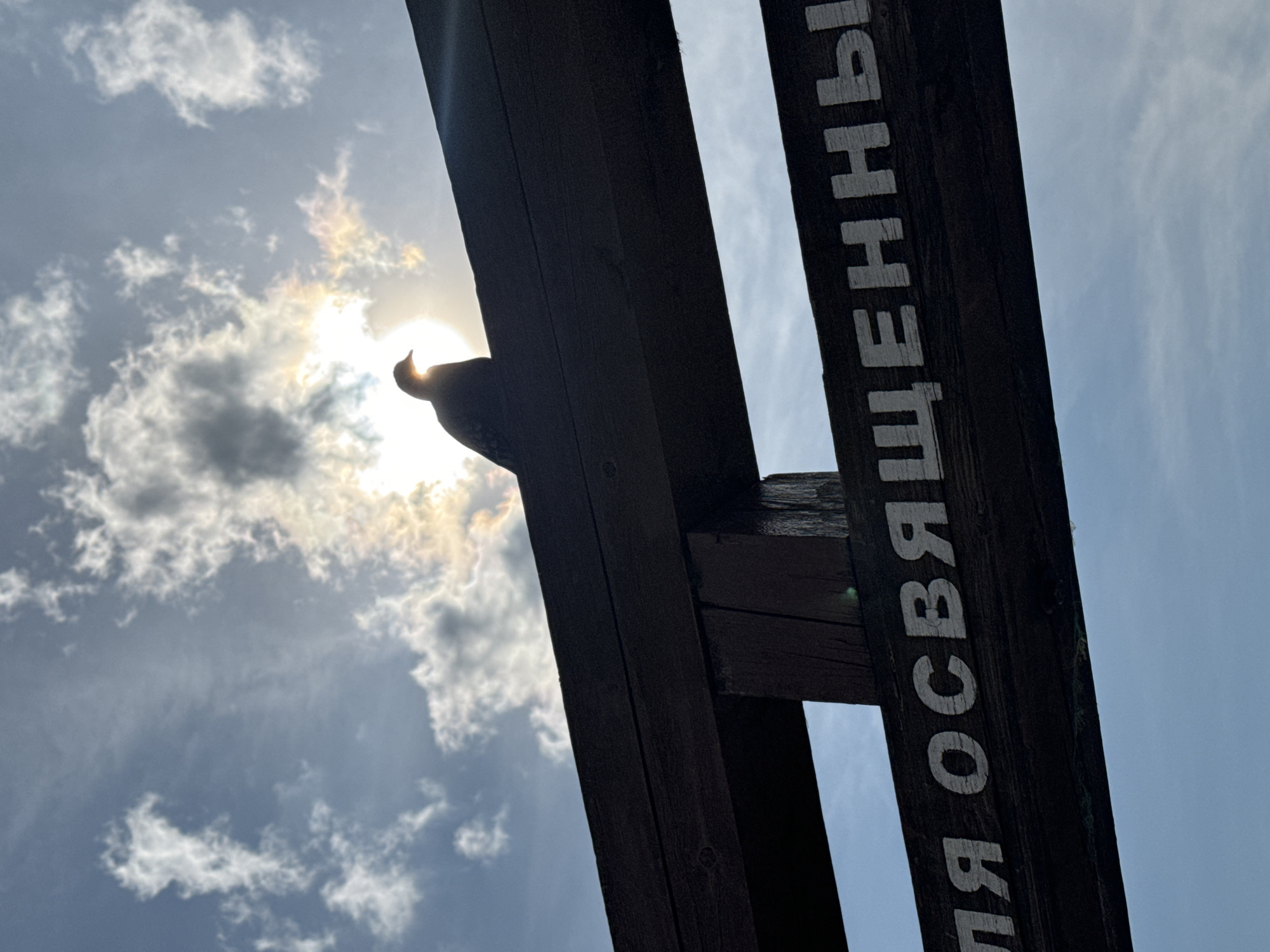 A silhouette of a bird is perched on a wooden beam against a bright, cloudy sky. The sun is visible behind the bird, creating a halo effect. Below the bird, on the same beam, white text is inscribed. The text, partially visible, reads "ЛЯ ОСВЯЩЕННЫ". This phrase is part of the inscription on a memorial archway dedicated to fallen soldiers in the city of Ulan-Ude, Russia. The archway is located at the entrance to the "Memorial of Glory," a significant historical site in the city.