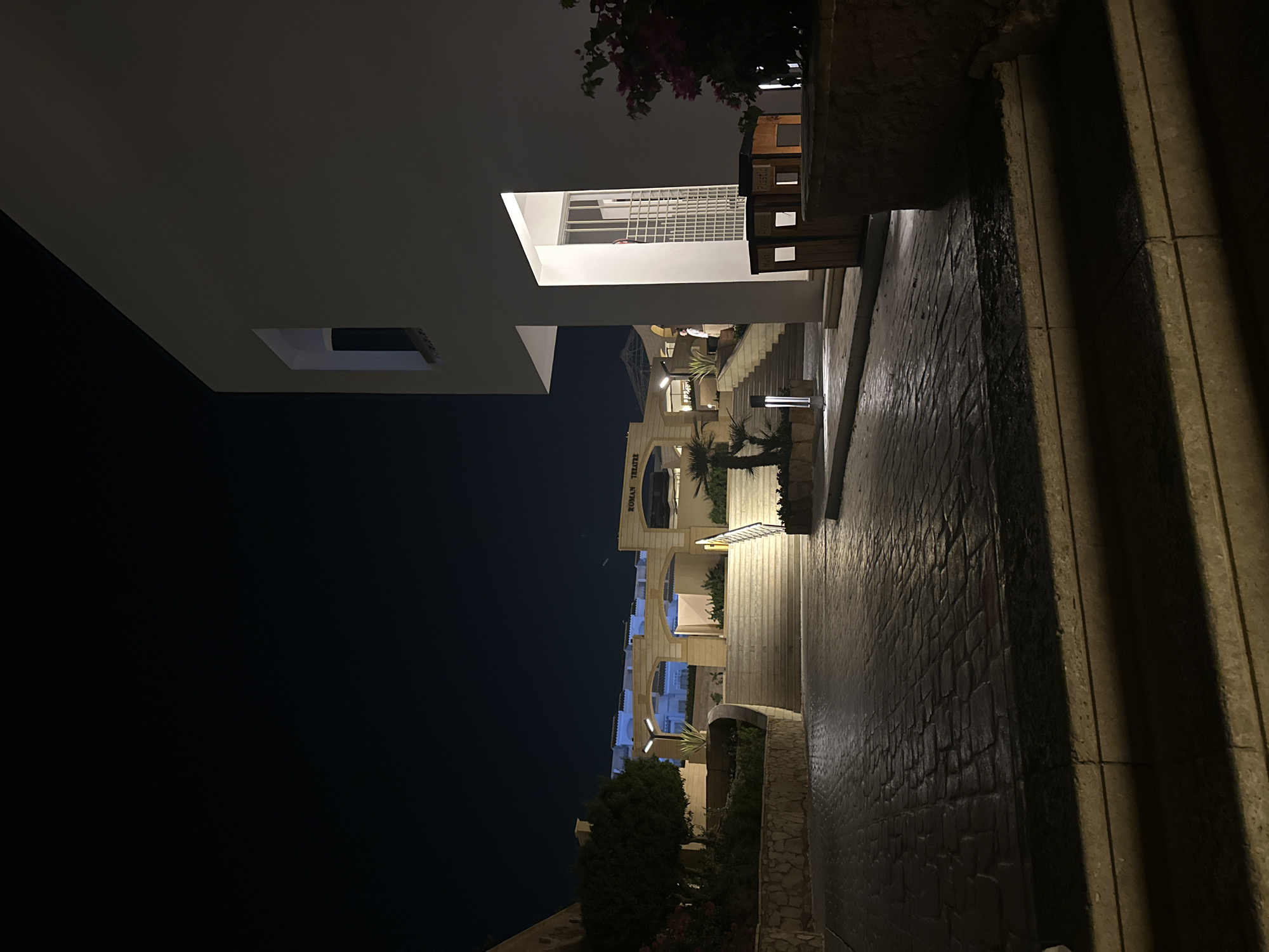 The image depicts an outdoor architectural complex at night in an unknown city. The scene is illuminated by artificial lighting, casting shadows.
In the immediate foreground, dark-toned steps lead up to a paved pathway of dark, possibly wet, cobblestone-like material. To the left, a low stone retaining wall supports dense green foliage. To the right, a multi-story, minimalist white building dominates the midground, featuring a large, vertically oriented cut-out revealing an illuminated interior space with a grid-patterned screen. Below this opening, two wooden-clad waste bins are visible, labeled "Organic" and "Plastic" respectively. Adjacent to these bins is a low stone planter containing a bush with pink flowers.
Further into the midground, a wide, illuminated stone staircase ascends centrally. A modern, columnar light fixture stands on a planter to the left of these stairs. A lone individual, dressed in a light-colored top, is ascending the stairs on the right side, partially obscured. To the left of the stairs, a dark-leaved tree is prominent against a lighter stone wall.
In the background, a series of light-colored, arched structures form a facade. Text visible on one of these structures reads "ROMAN THEATRE." Behind these arches, additional buildings with blue architectural lighting accents along their rooflines are discernible. The sky above is dark, indicating nighttime, with a faint light streak visible in the upper right quadrant, possibly an aircraft.