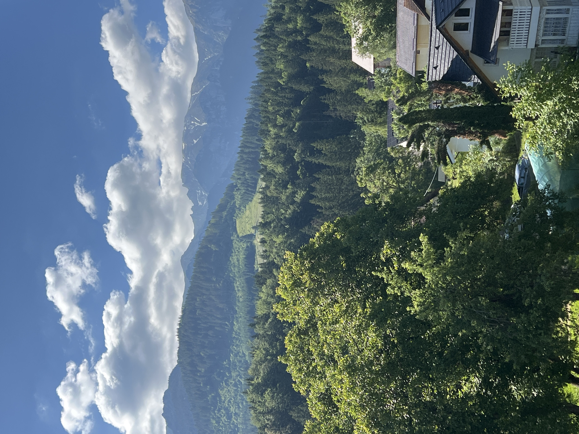 This is a vertical, medium-range outdoor shot of a mountainous, forested landscape with a few buildings visible in the foreground. The sky is a bright blue with scattered white cumulus clouds. In the distance, layered mountain ranges are visible, with the furthest peaks appearing to have patches of snow. The mountains are covered in dense, dark green pine forests. In the mid-ground, a vibrant green deciduous tree dominates the left side of the frame, with its leaves catching the sunlight. Below the tree, nestled amongst more evergreen trees, are several houses with dark roofs. One house has a light-colored facade and a white balcony with a railing. Another house, to the left, has a yellow facade. A dark-colored car is visible in front of a small greenhouse. The overall impression is one of a serene, natural setting.