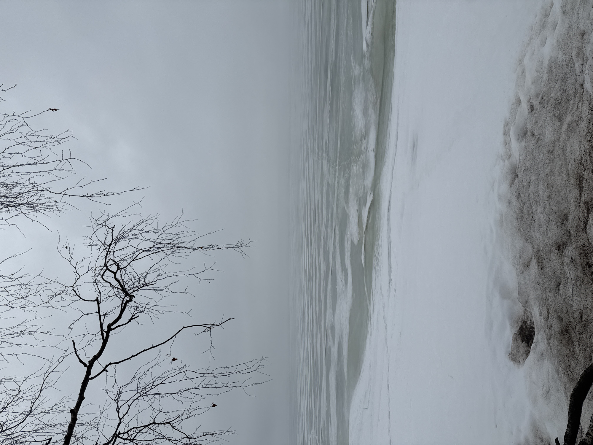 The image depicts a gray, overcast winter scene. In the foreground, bare tree branches are silhouetted against the sky. To the right, there appears to be a body of water or a vast expanse of snow-covered land extending to the horizon, where the sky and land seem to merge due to fog or a lack of contrast. The right edge of the image shows a snowbank or a section of the shore. Given the prompt's context, this scene likely portrays the landscape in or near Chaikovsky, Russia, though specific landmarks or urban features are absent. The environment conveys a sense of bleakness, cold, and isolation.