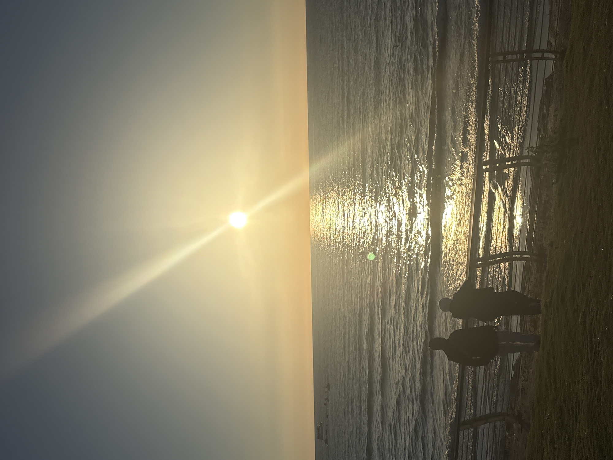 The image depicts a sunset over the Mediterranean Sea from a location in Tel Aviv, Israel. Two figures, silhouetted against the bright light, stand near a railing overlooking the water. The sun, a brilliant orb, casts a shimmering golden path across the waves. A small boat is visible in the distance on the left side of the frame. The foreground shows a grassy area with some plants. The sky transitions from a pale blue near the horizon to a darker gray at the top of the image. The scene evokes a sense of tranquility and natural beauty.