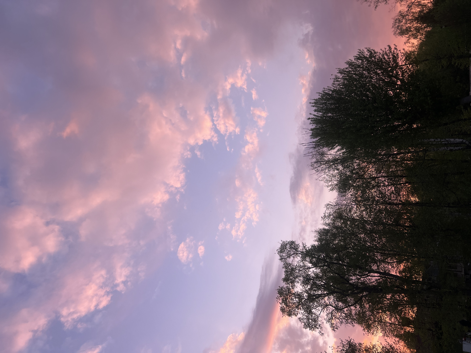The image shows a twilight sky in Kazan, Russia. The sky is predominantly pink and purple, with scattered clouds. Silhouetted trees line the top and right side of the frame. The overall impression is one of dusk.