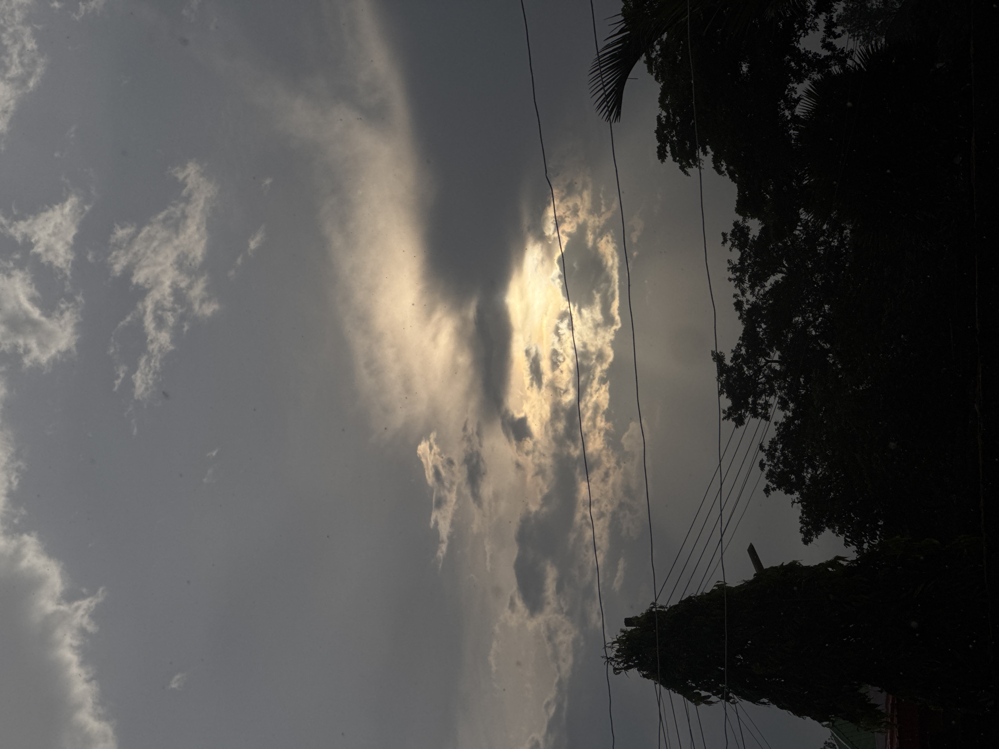 A dramatic cloudy sky is visible above a silhouetted landscape of trees and power lines. The sky is dominated by dark, heavy clouds with a break in the center where sunlight streams through, creating visible rays that pierce the gloom. Scattered white clouds are also present. In the foreground, the dark silhouettes of trees are visible, with one tall, conical tree on the left and a denser cluster of trees on the right. Power lines are strung across the mid-ground, running horizontally through the image. The overall impression is one of impending rain or a dramatic weather event. The location is described as Unknown, Unknown.