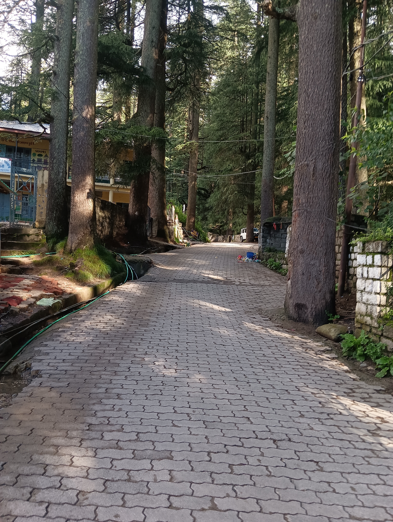 The image shows a paved walkway in Manali, India, surrounded by tall pine trees. The walkway is made of interlocking concrete pavers and is slightly wet in places, suggesting recent rain or watering. Sunlight filters through the dense canopy of trees, creating dappled shadows on the path.
On the left side of the walkway, there are some steps leading up to a building with a red roof and blue window frames. A green hose is visible running along the edge of the walkway, disappearing into a drainage channel near the building. The building appears to be an educational institution or a guesthouse, with some signage visible in Hindi.
Further down the walkway, on the right side, a low stone wall borders the path. Beyond the wall, more trees and foliage are visible. In the distance, a white car is parked on the side of a road that runs parallel to the walkway. There are some colorful plastic objects, possibly toys, and a blue bucket near the car.
The overall scene is serene and natural, with the towering trees and the quiet walkway creating a sense of tranquility. The presence of the building and the car suggests that this is a developed area within the natural landscape. The image captures the essence of a peaceful mountain town in India, with its unique blend of nature and human habitation.