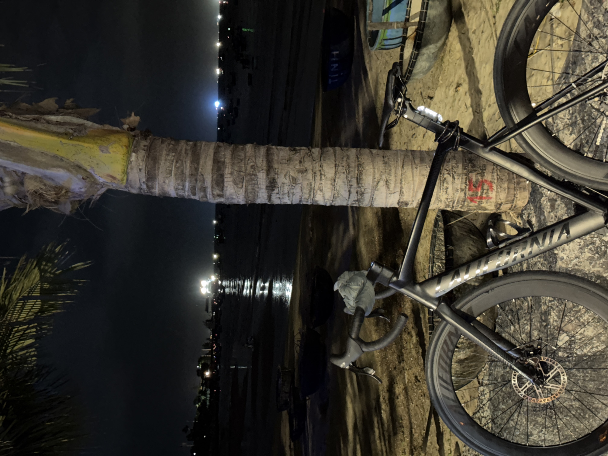 The image shows a bicycle leaning against a palm tree trunk, with a view of the Đà Nẵng coastline at night. The bike is gray, with disc brakes. The palm tree is to the left, running horizontally. The coastline is visible in the background with city lights reflecting on the water. The ground appears to be sand or concrete. There are some miscellaneous objects behind the palm tree.