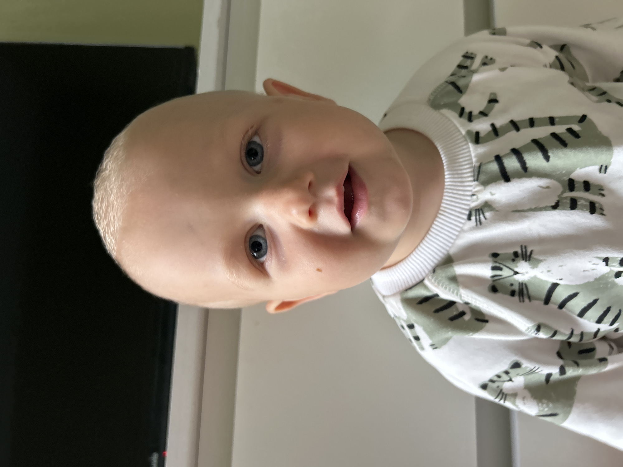 A close-up, head-and-shoulders shot of a Caucasian baby boy is captured from a slightly low angle, looking directly at the camera. The baby has fair skin, very short, light blonde hair, and striking blue eyes. A small, dark mole is visible on his right cheek. He is wearing a white sweatshirt with a repeating pattern of stylized green tigers. The background is out of focus, showing a dark rectangular object at the top, possibly a television screen, and a light-colored surface below, likely a dresser or wall. The lighting appears to be natural and soft, illuminating the baby's face. The image does not contain any specific landmarks or indicators that would allow for its localization within the city of Kaluga, Russia.