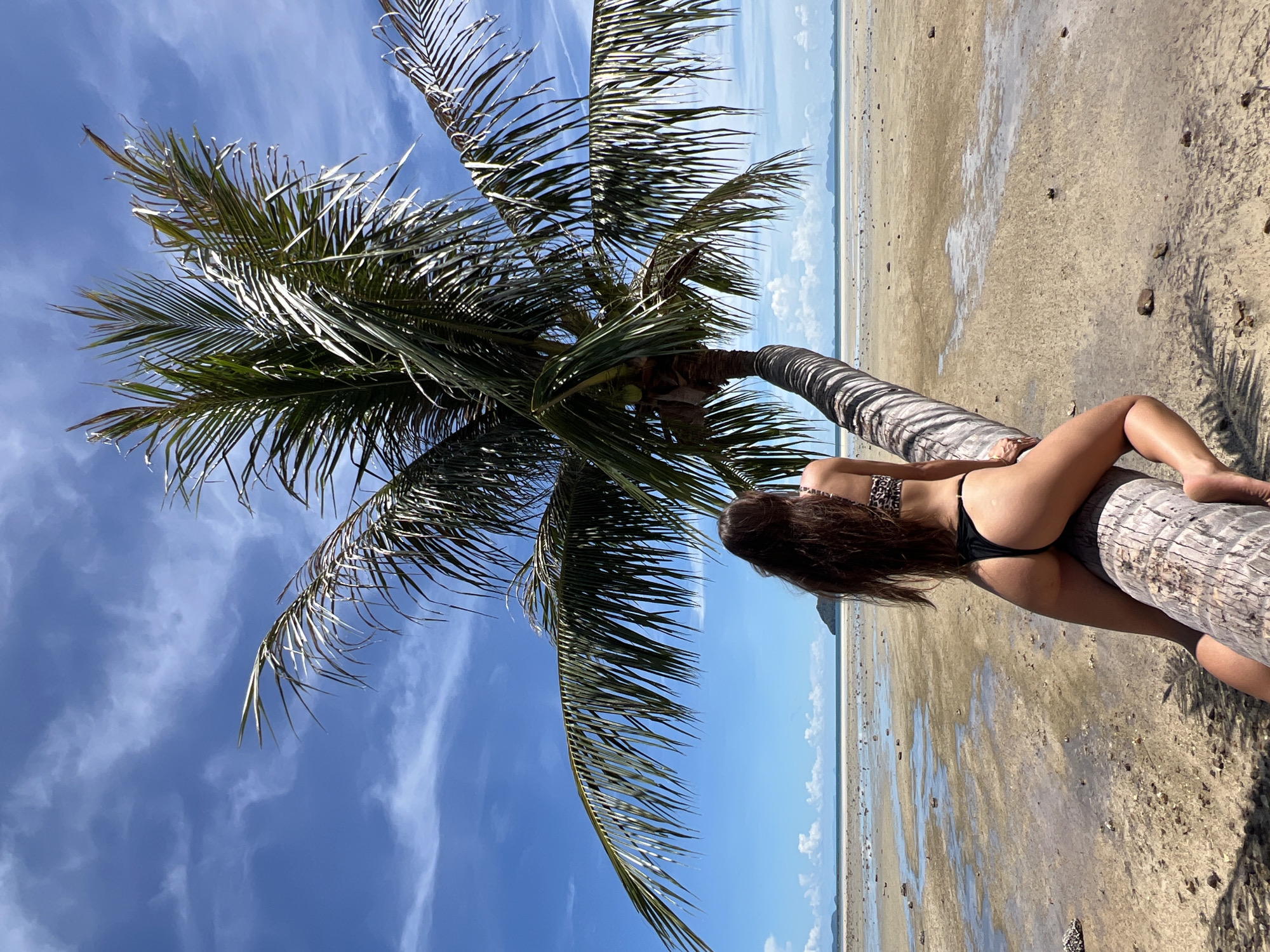 A woman with long brown hair, wearing a leopard print bikini top and black thong bottoms, sits facing away from the camera on a fallen palm tree trunk on a sandy beach. The palm tree is angled across the frame, with its fronds extending upwards and outwards against a blue sky with scattered white clouds. The beach is composed of sand and shallow tidal pools, with scattered rocks and a distant horizon showing islands under a bright, sunny sky. The location is identified as Ko Pha Ngan, Thailand.