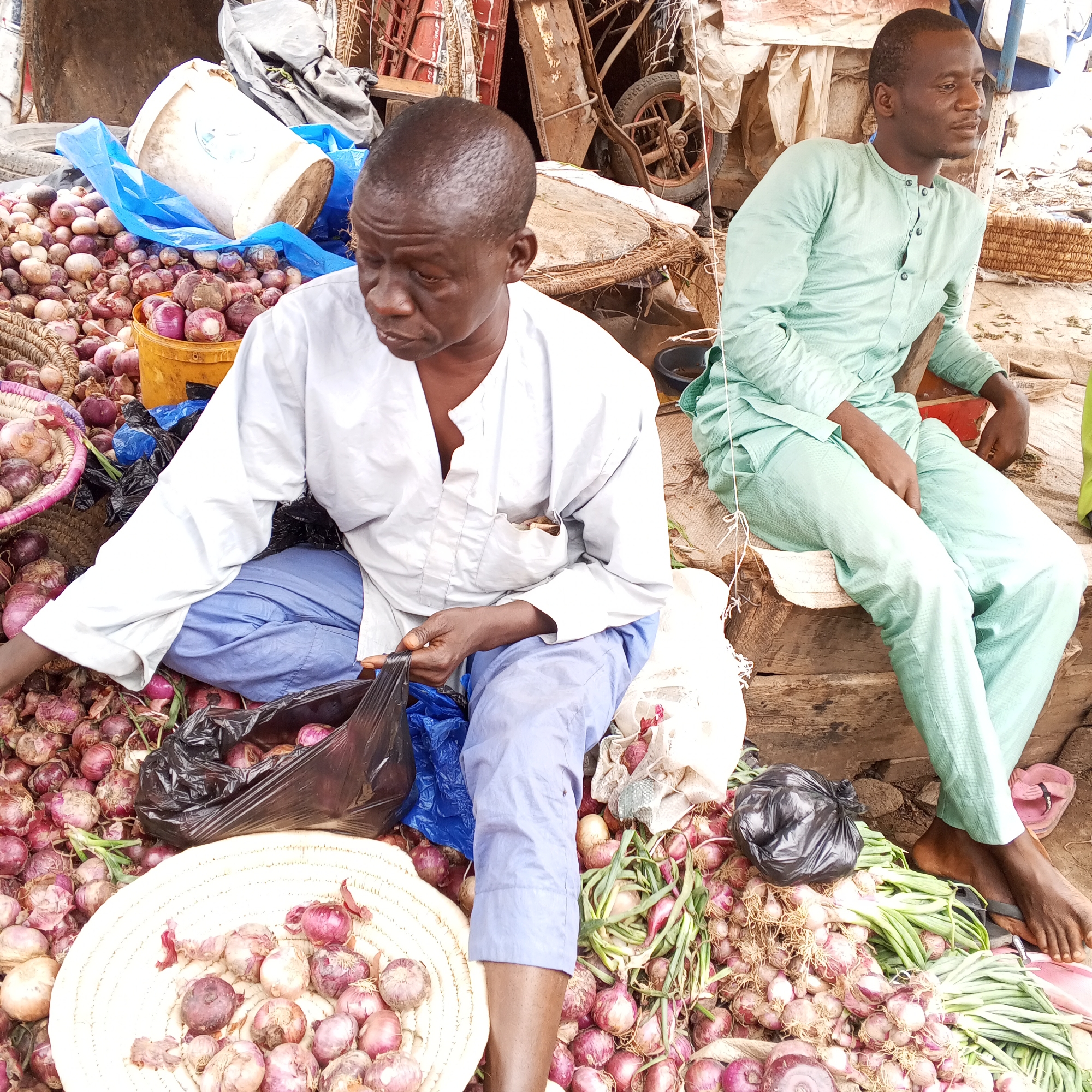 The image depicts a bustling outdoor market scene in Maiburiji, Nigeria, characterized by the abundant display of onions and the presence of two men engaged in market activities.
On the left, an older man with dark skin is seated on the ground, wearing a white long-sleeved tunic and light blue trousers. He appears focused, looking down at his hands as he holds a black plastic bag, seemingly involved in sorting or bagging red and white onions. Around him, large quantities of red onions are piled on the ground, alongside a large woven basket filled with similar produce and a yellow plastic bucket containing more onions.
To the right, a younger man with dark skin is comfortably seated on a raised wooden platform. He is dressed in a light green traditional garment, including a long-sleeved top and matching trousers. His posture is relaxed, and he gazes off to the right side of the frame, possibly observing the market surroundings or waiting. His bare feet, partially covered by pink flip-flops, rest near a significant pile of green onions and additional red onions.
The scene is set against a rustic backdrop typical of a local market. Visible in the background are various makeshift structures, including wooden planks, tarpaulins, and parts of what appears to be a cart wheel, indicating an informal trading environment. Several plastic buckets, one white and one yellow, are scattered among the produce. The ground is a mix of soil and organic material, common in such outdoor settings.
The overall impression is one of everyday commerce, with the men central to the activity of selling and handling produce. The lighting suggests it is daytime, likely either an overcast day or during a time of day when direct sunlight is not harsh. No discernible text is clearly visible in the image.