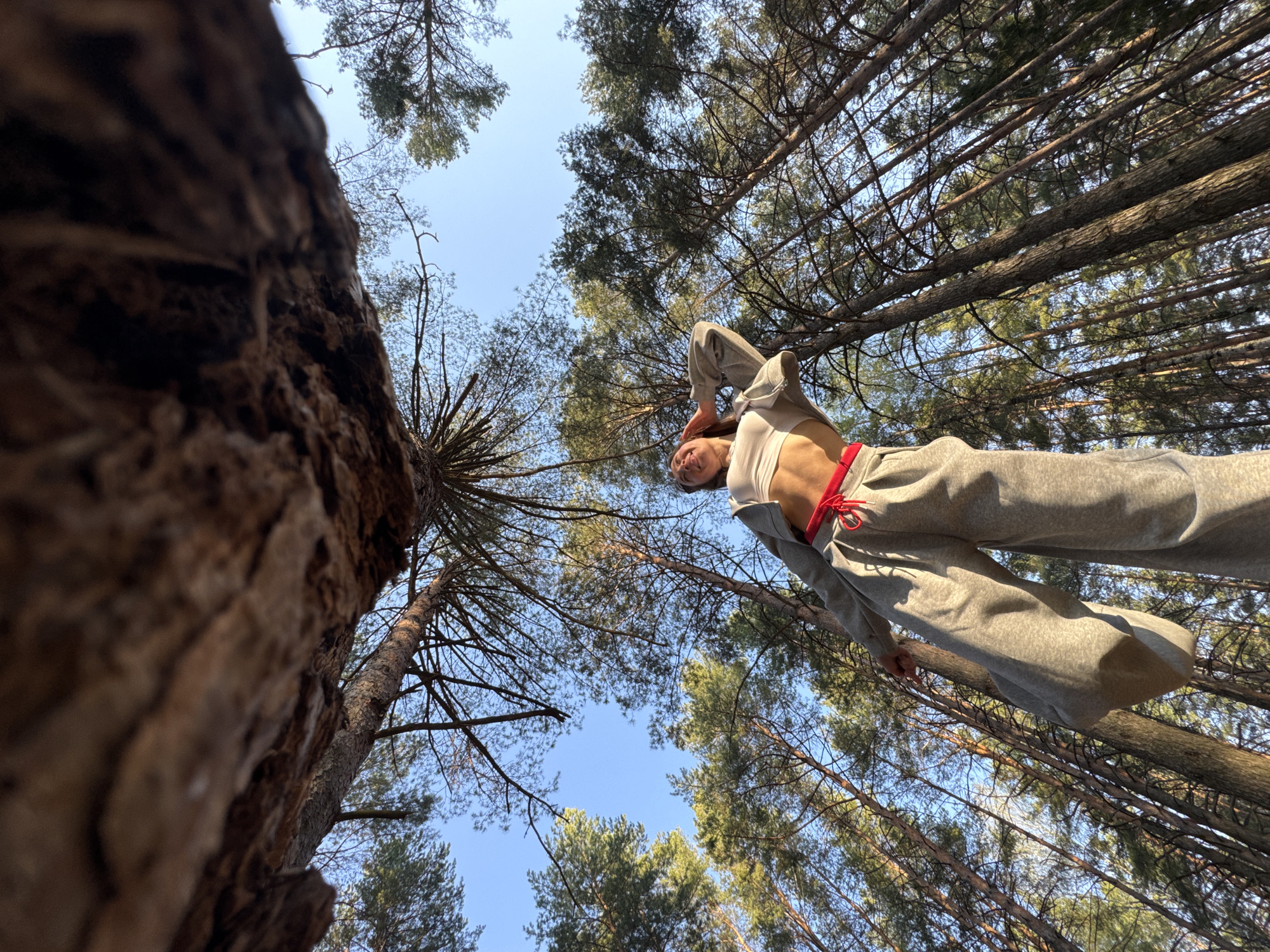 A low-angle shot taken in a forest in Прикамский, Russia shows a person standing among tall trees reaching towards a clear, blue sky. The individual is wearing a light-colored top, grey sweatpants, and a matching jacket. A red drawstring is visible at the waist of the sweatpants. The perspective emphasizes the height of the trees and the individual's position within the forest canopy. The bark of a tree is prominently displayed in the foreground.